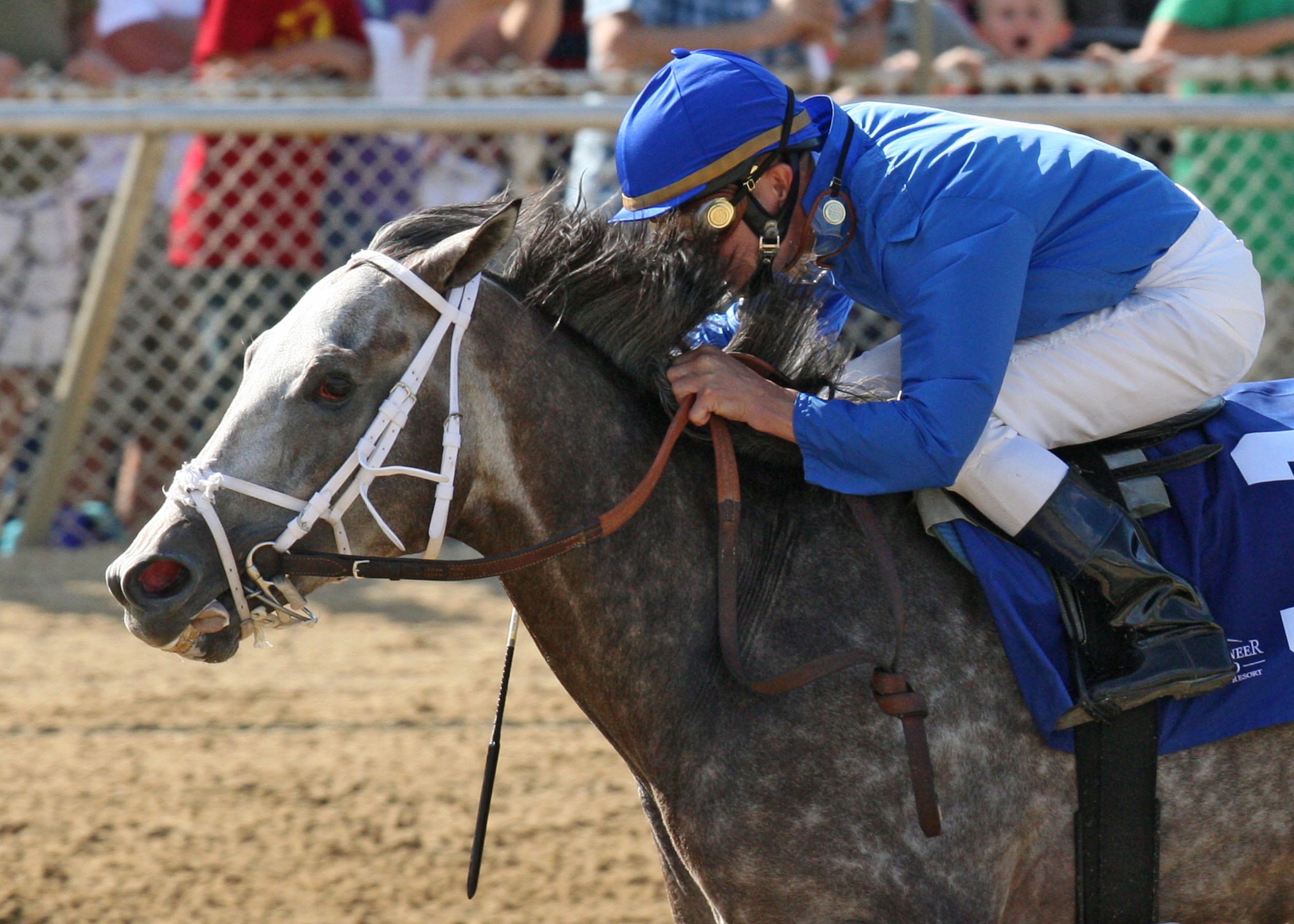 Taptowne 8-3-2013