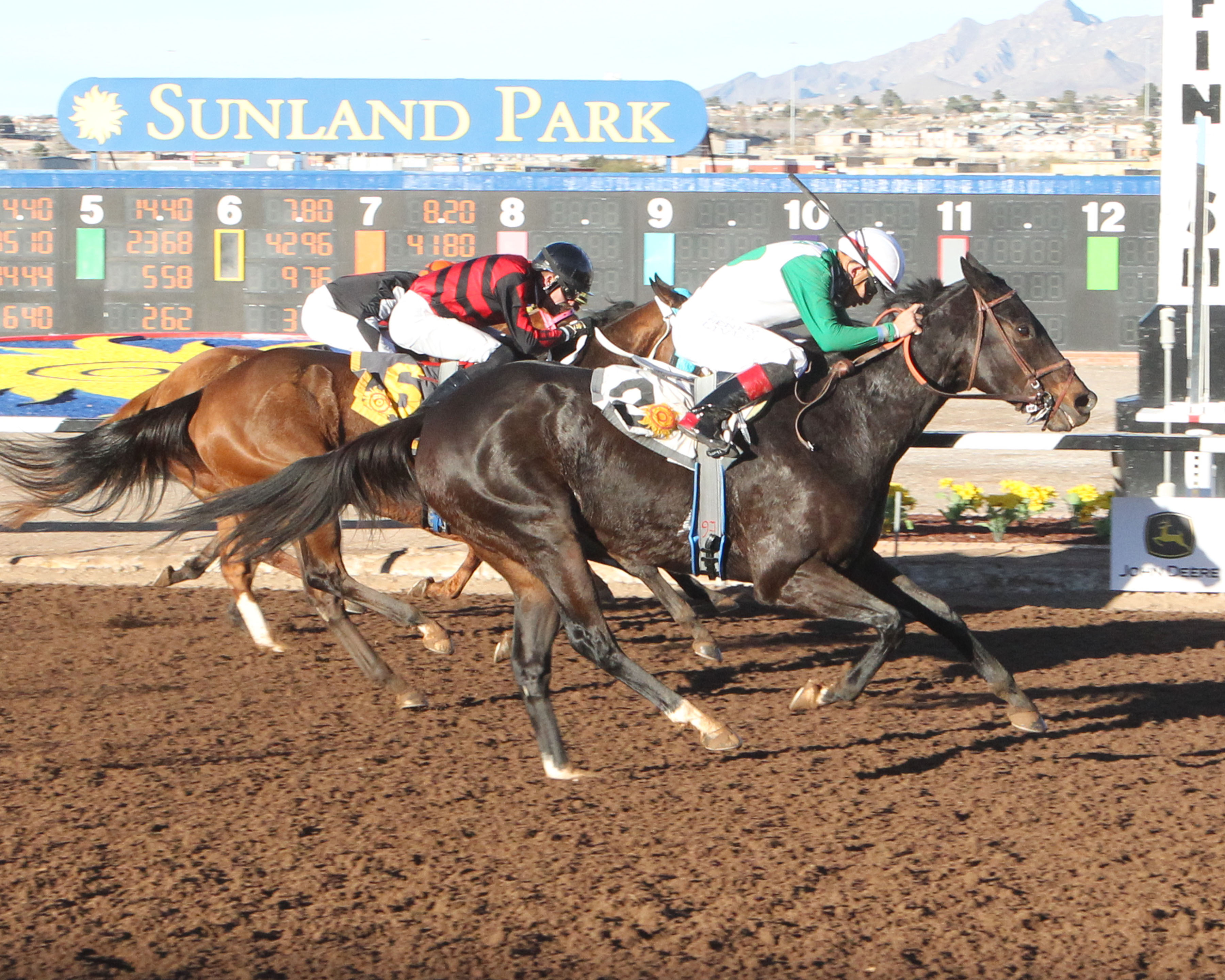 Tee Em Eye wins the 2019 Bold Ego Handicap