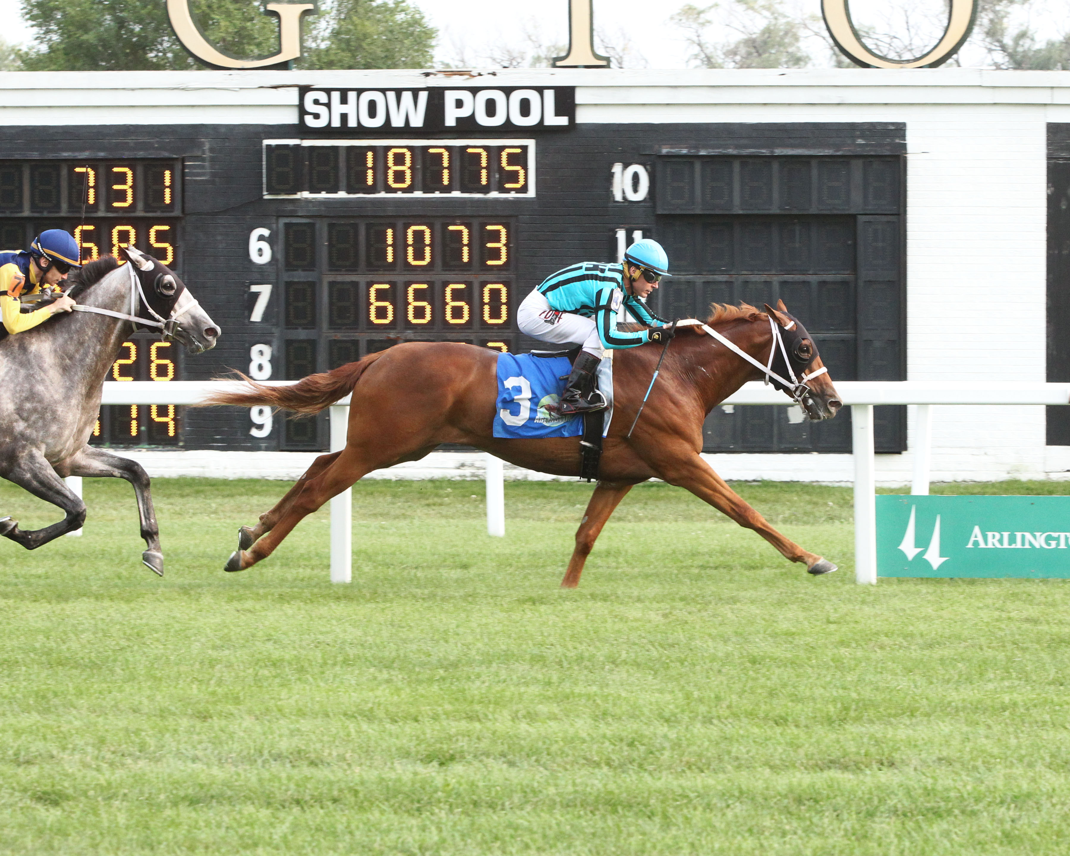 Temper Tantrum wins Richard Hazelton 8-7-2021