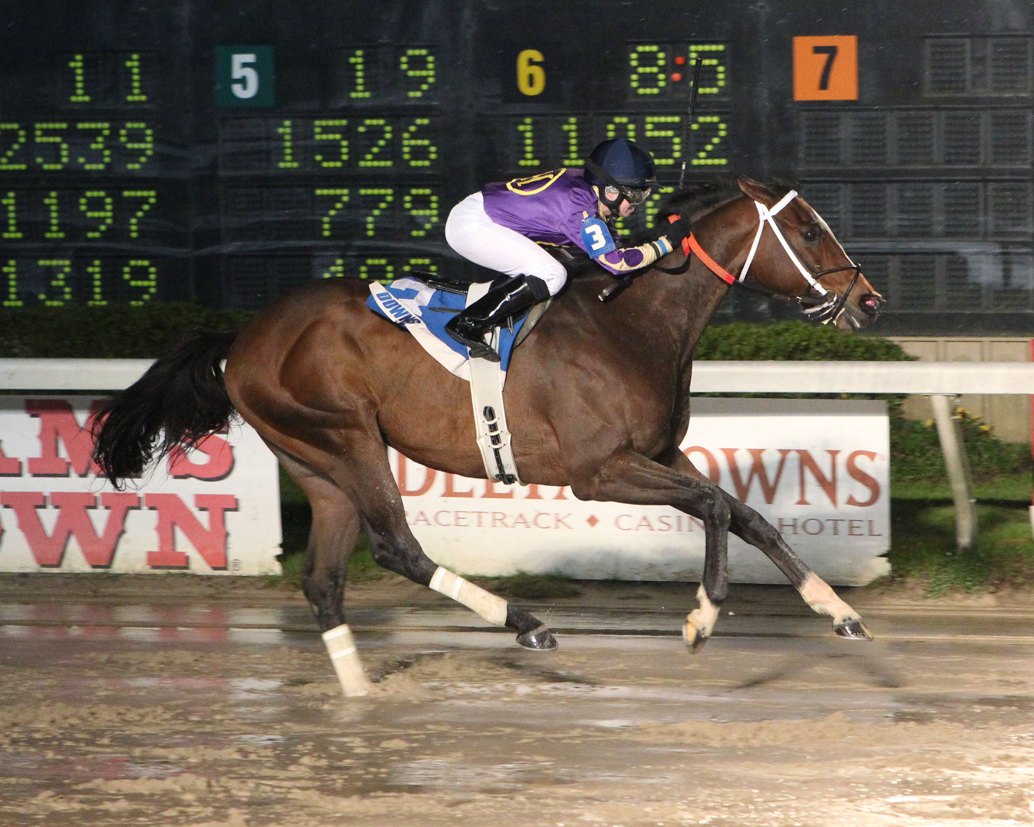 Teniente Coronel wins 2016 Fremont