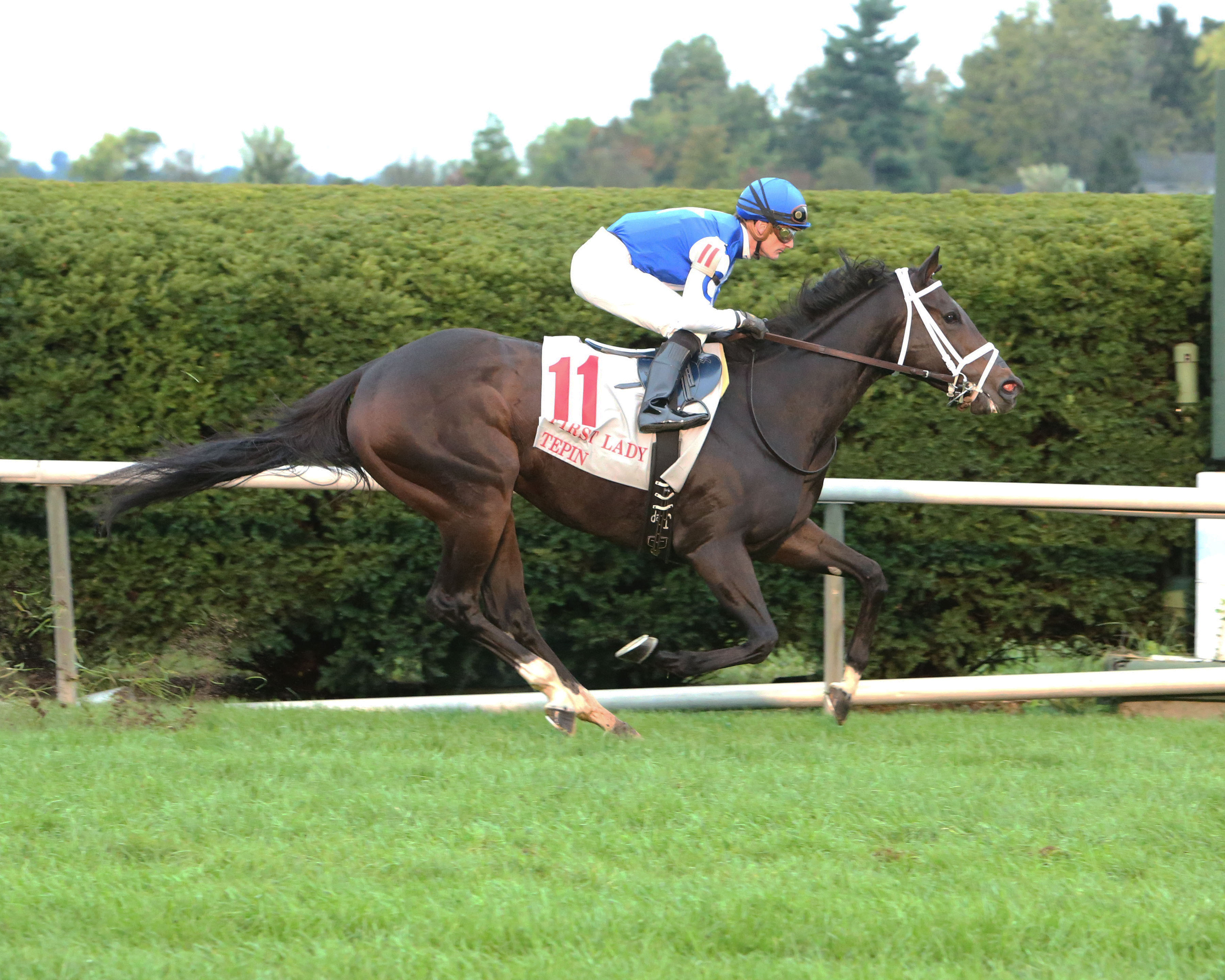 Tepin