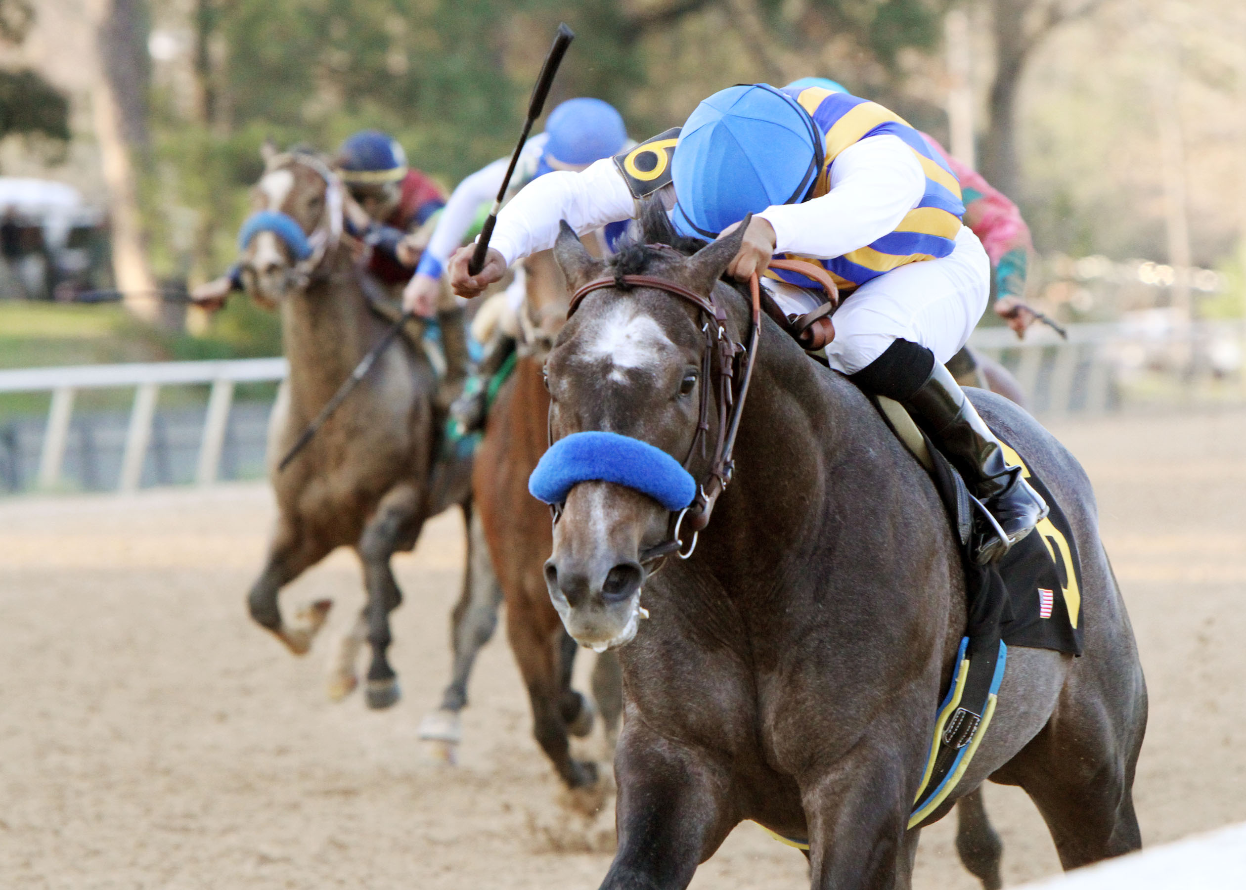 The Factor among at least four from Rebel likely for Arkansas Derby