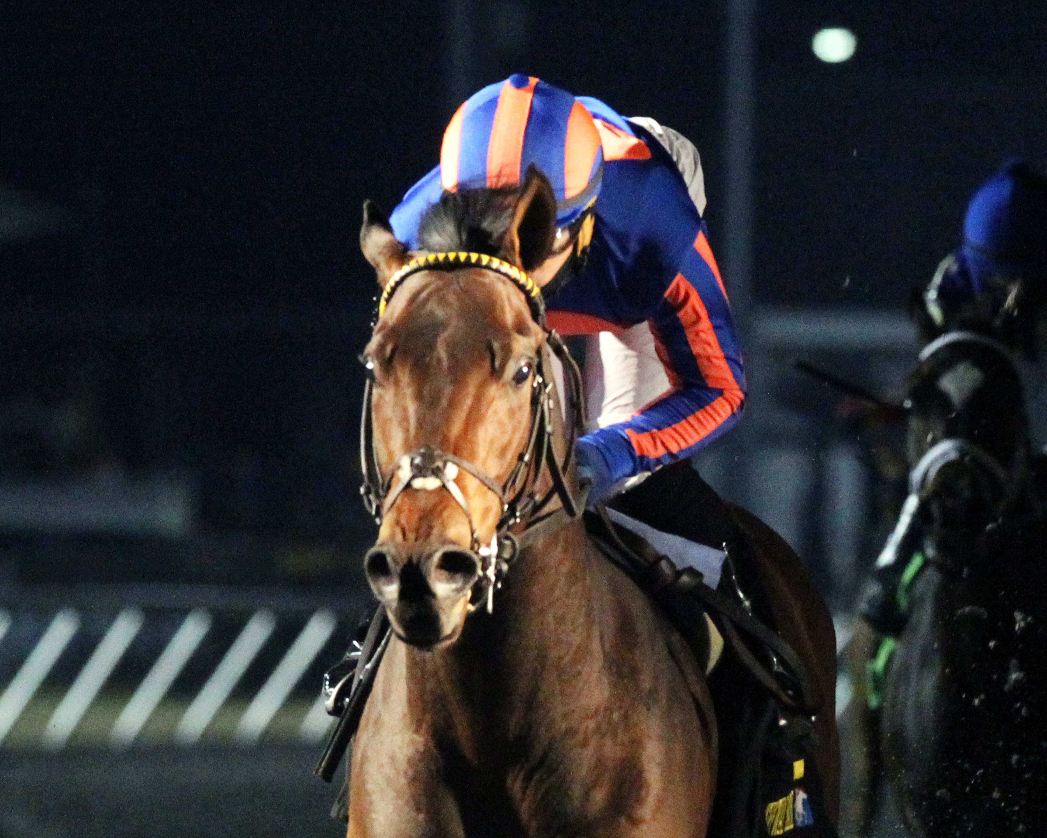 The Great War wins 2015 96Rock