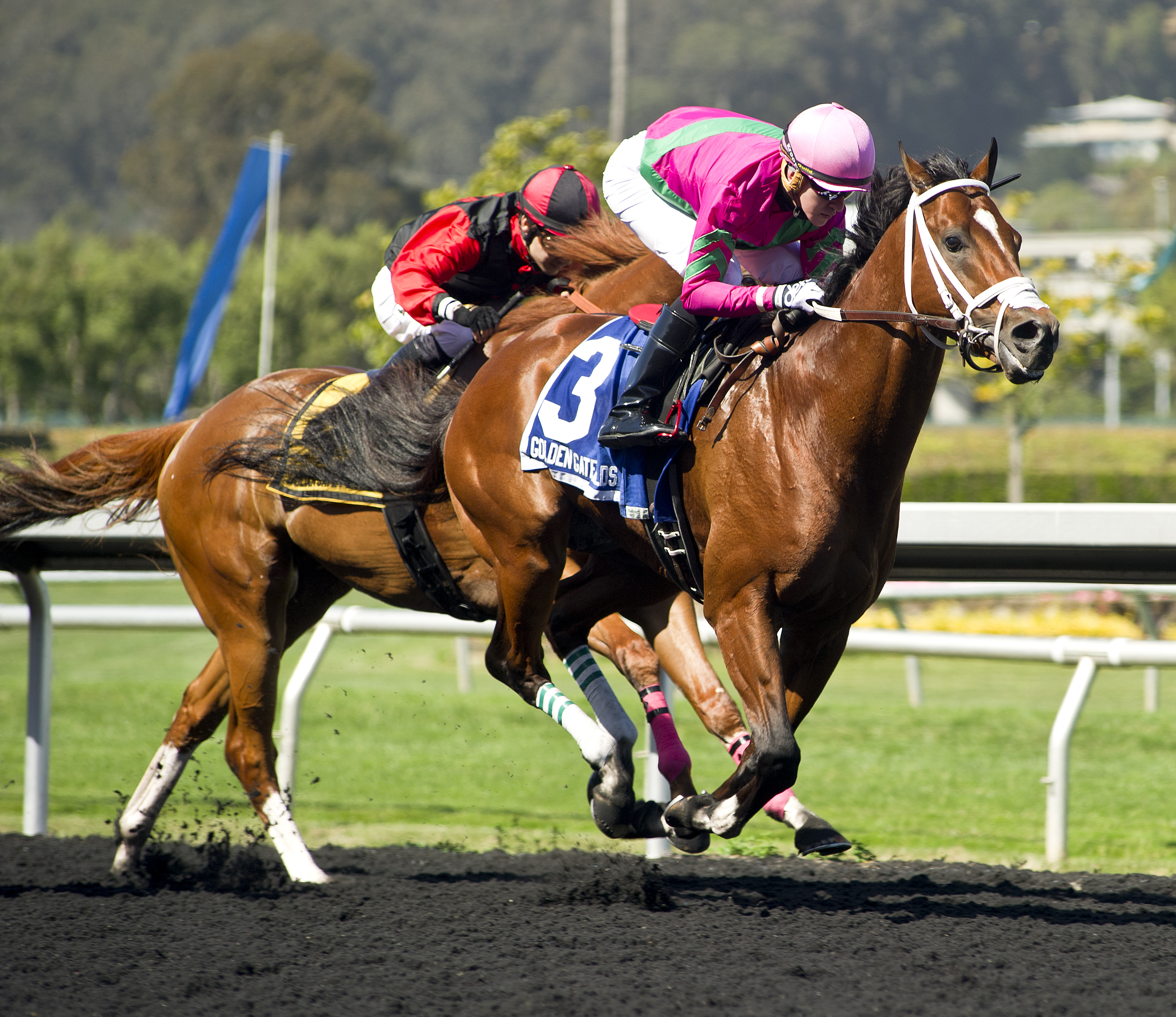 The Lieutenant wins the 2018 All American Stakes