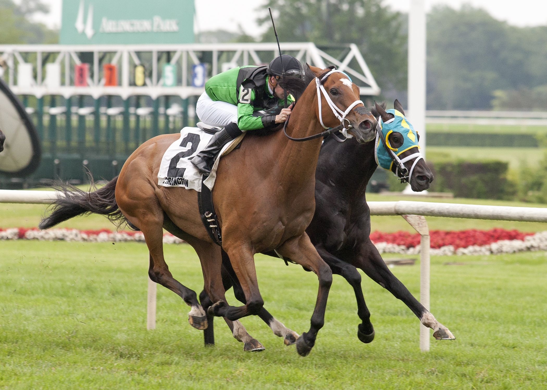 The Pizza Man wins 2015 Stars and Stripes