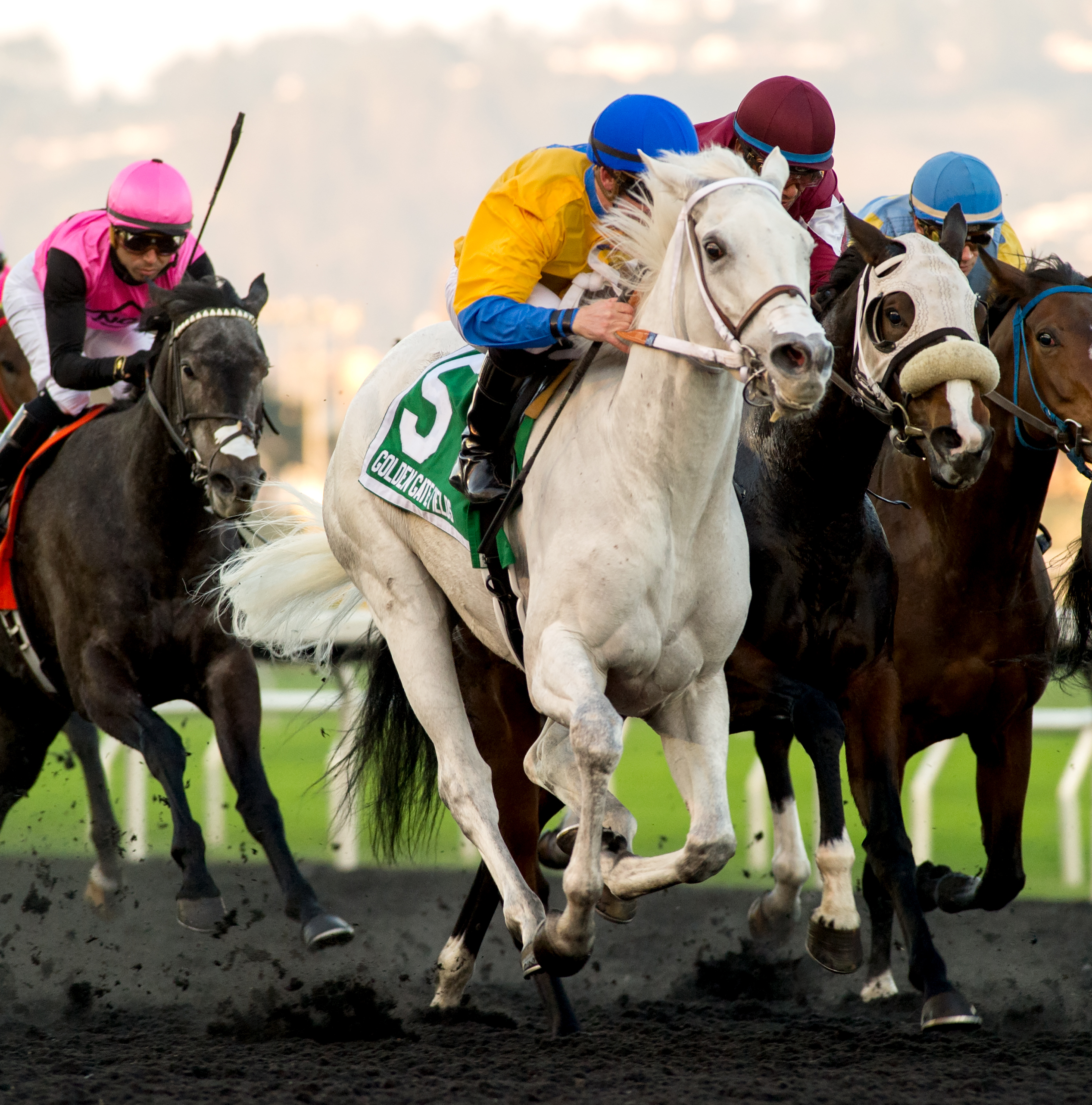 The Spiral Jetter (left) wins the 2018 Bear Fan Stakes