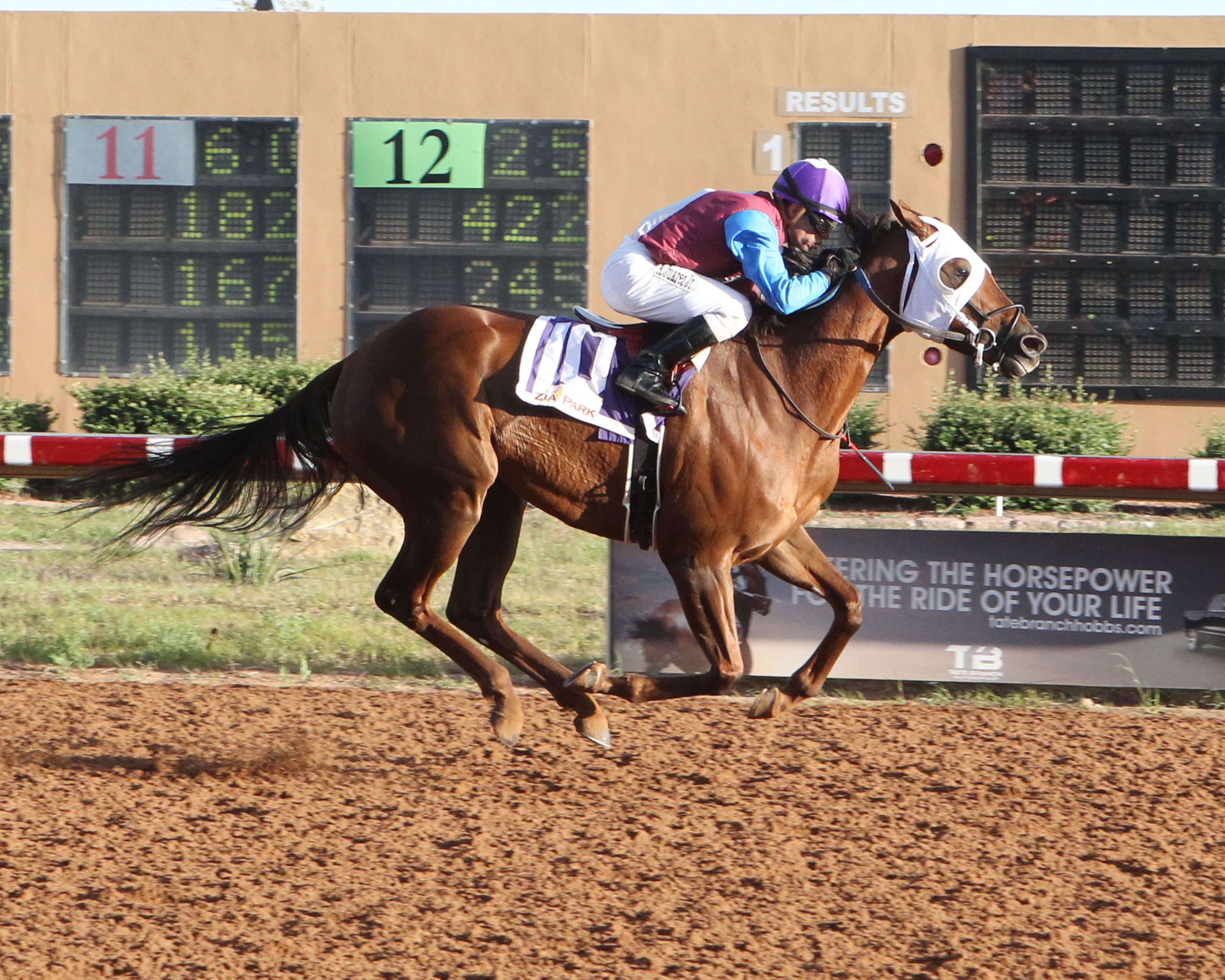 Thunder Dome wins 2018 Rocky Gulch