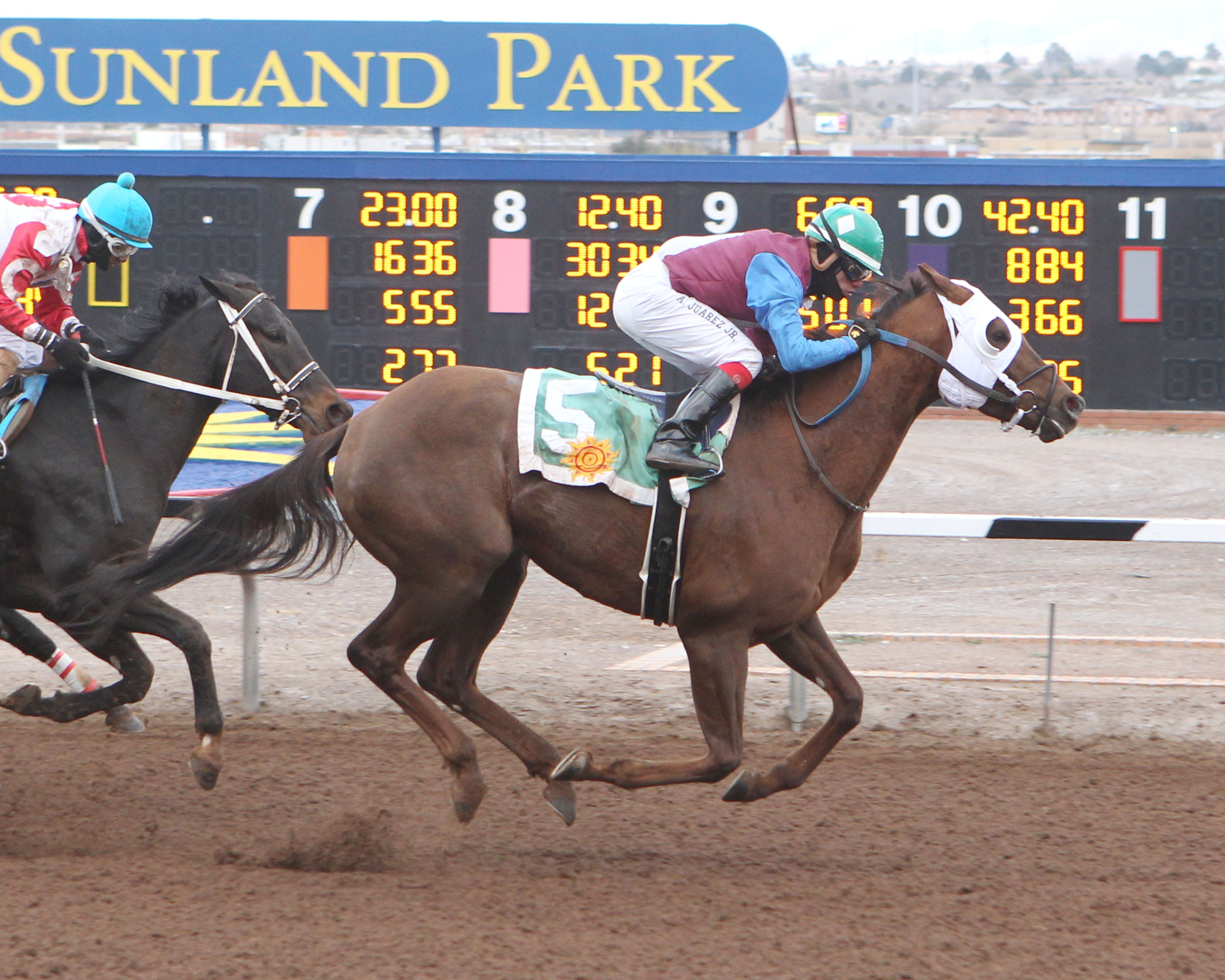 Thunder Dome wins the 2018 Johnie L. Jamison Handicap