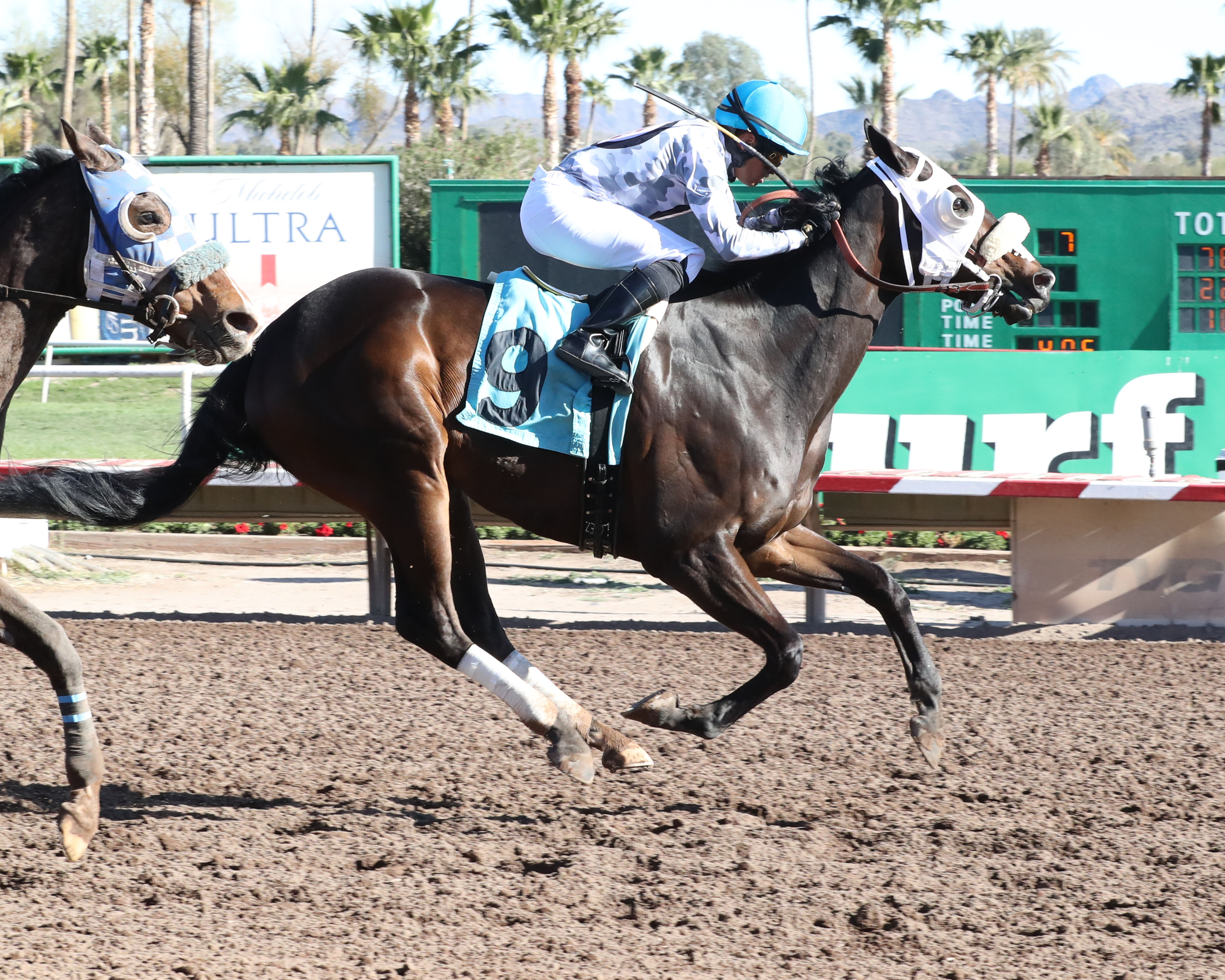 Tiger Dad/Phoenix Gold Cup