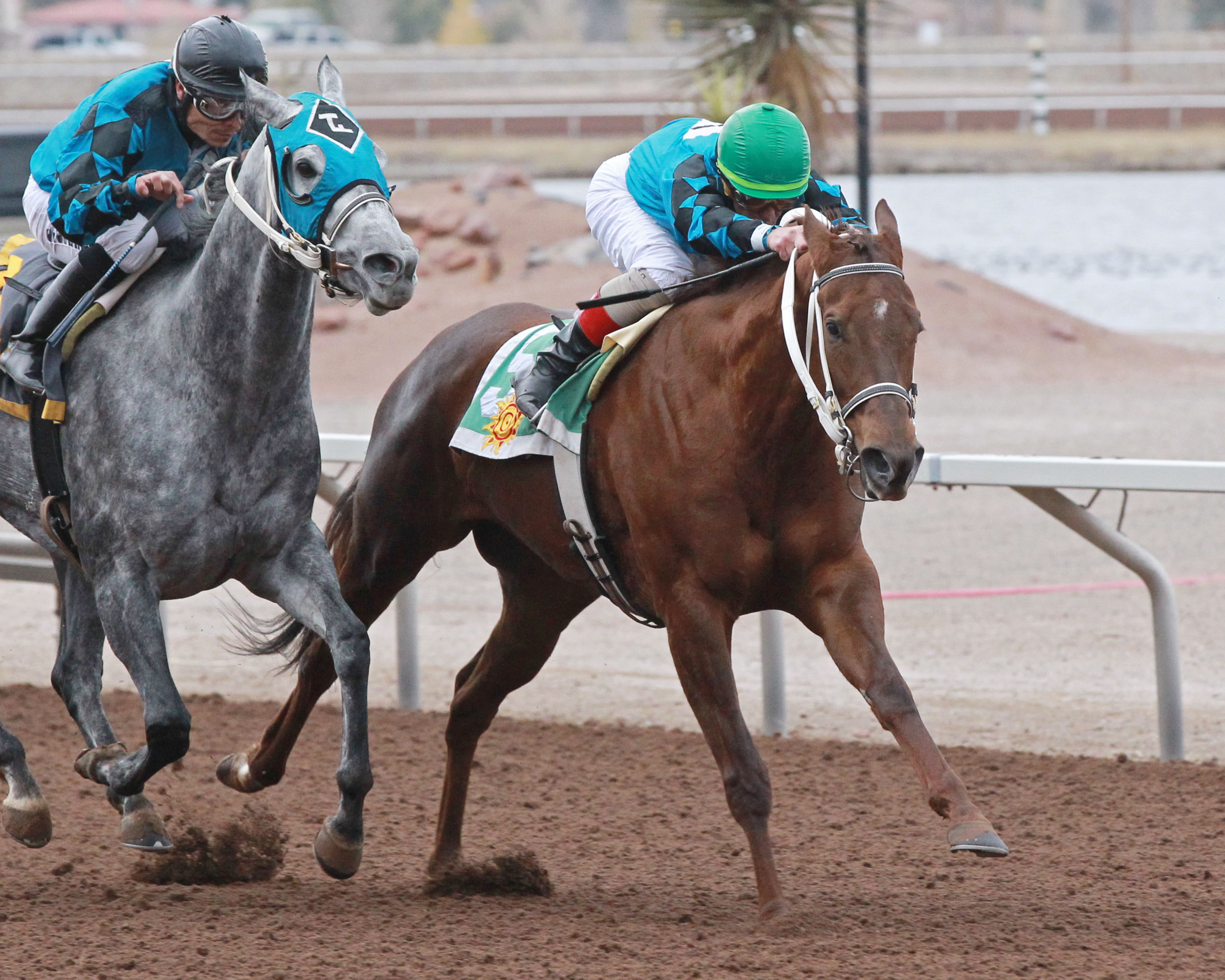 Tilla Cat wins the 2017 New Mexico State Racing Commission Handicap