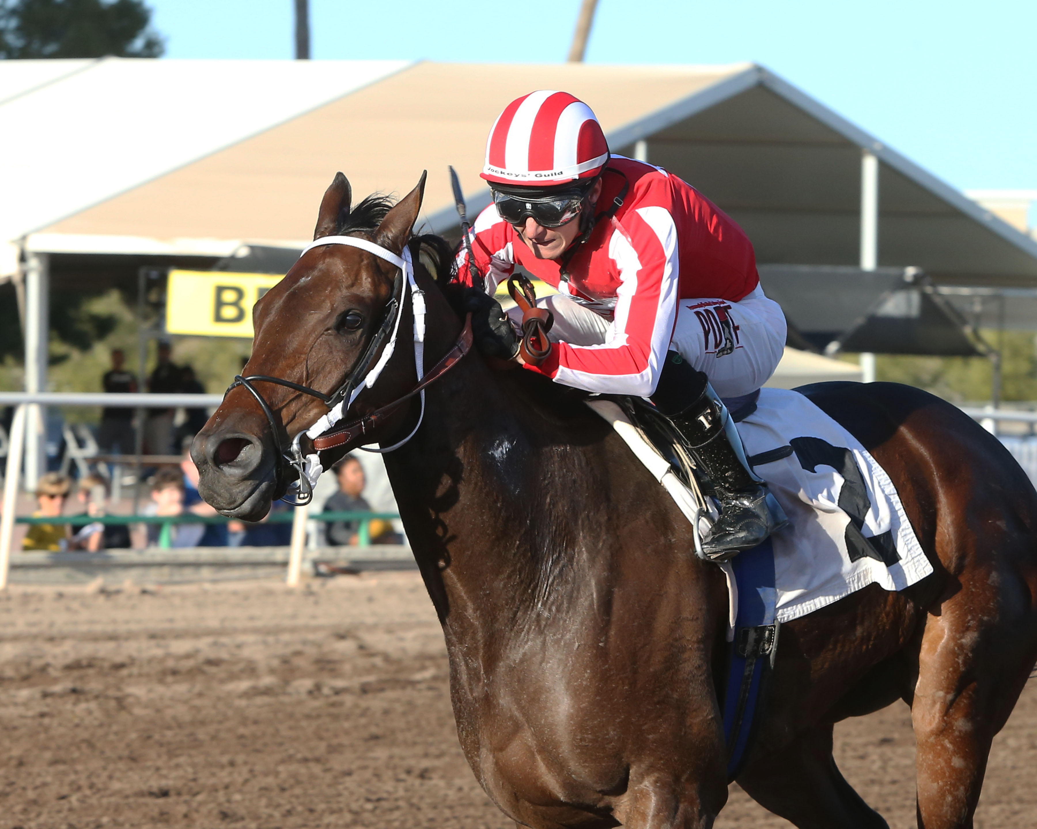 Time and Chance wins 2018 City of Phoenix