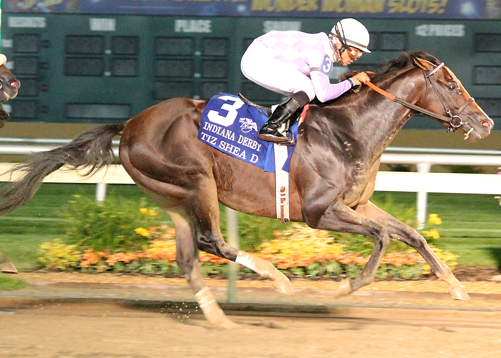 Tiz Shea D wins the Indiana Derby on Saturday at Indiana Grand