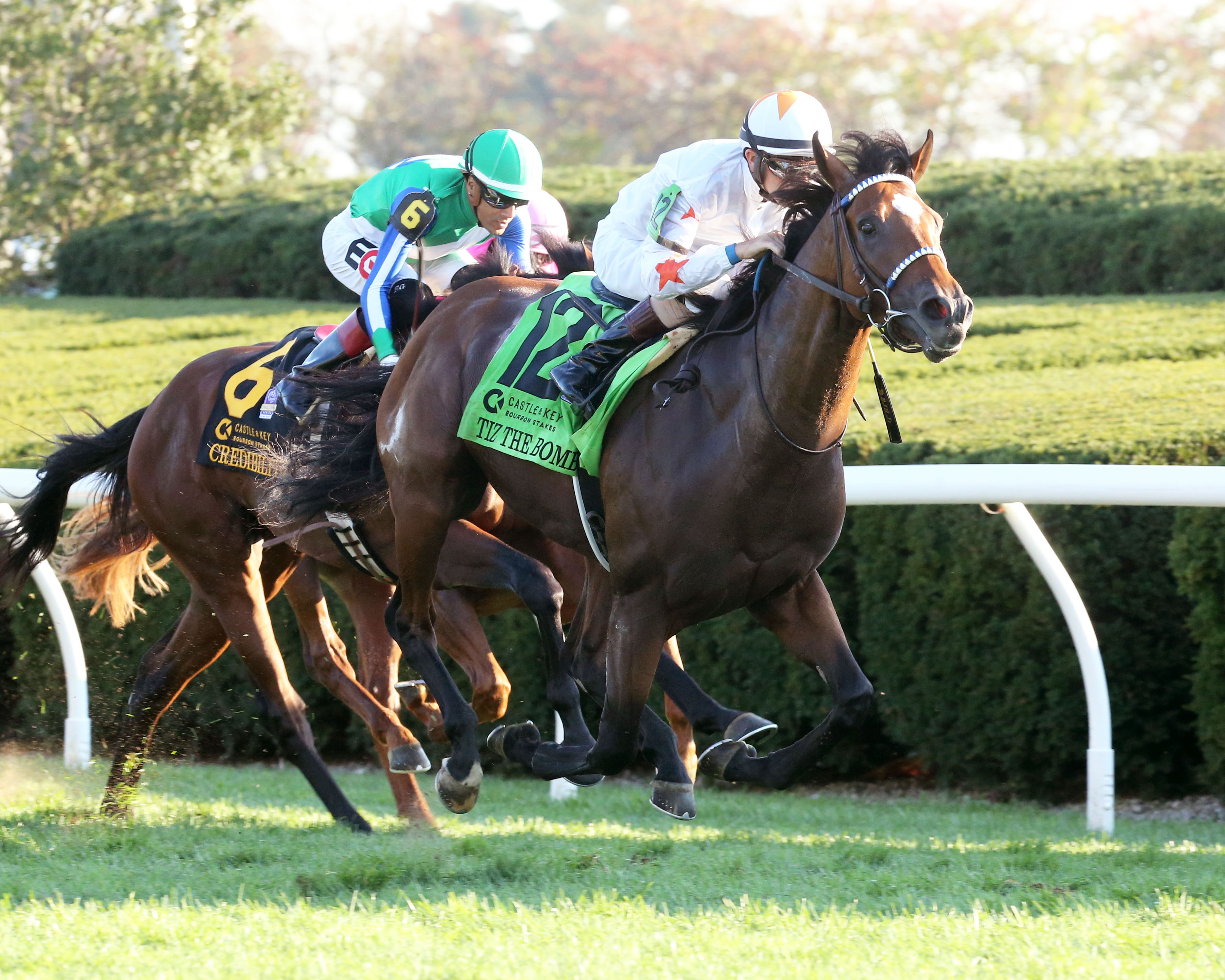 Tiz the Bomb - Bourbon S. 2021
