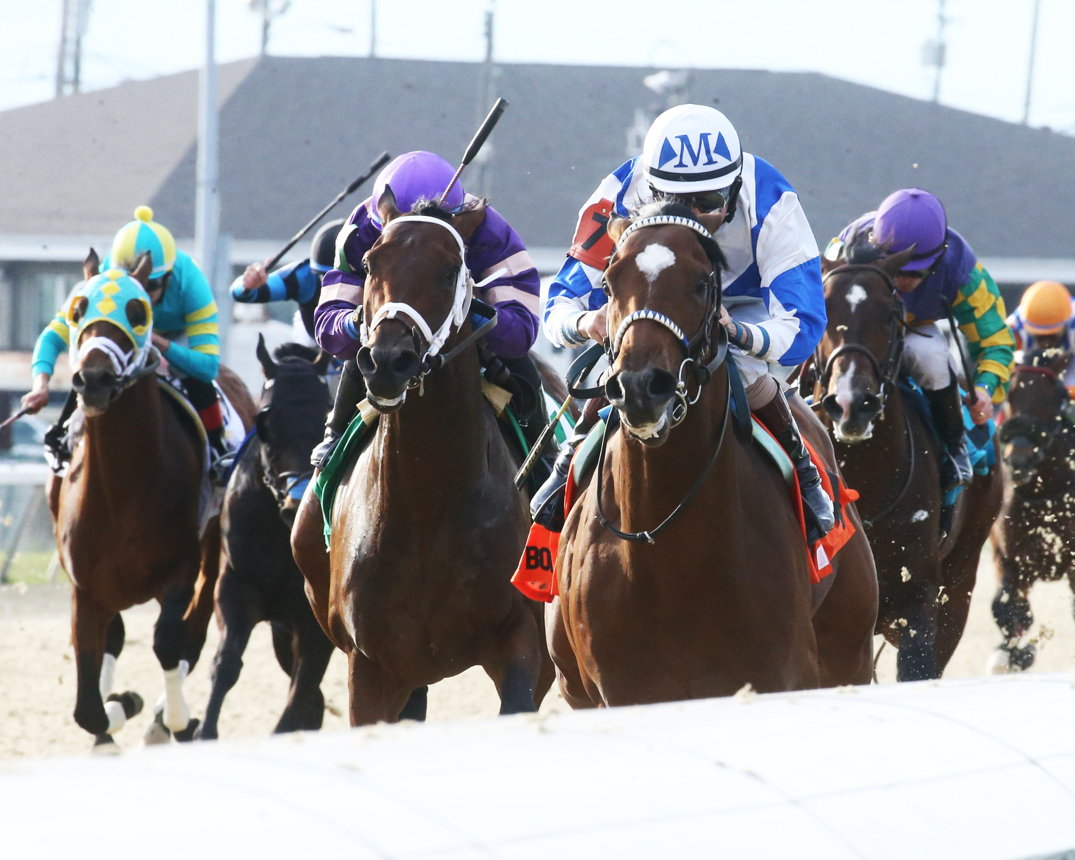Tiz the Bomb (third from left) wins Jeff Ruby 4-2-2022
