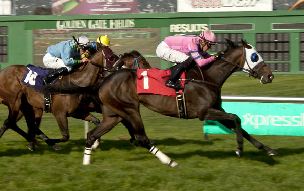 Tiz's All Star 5-28-2016