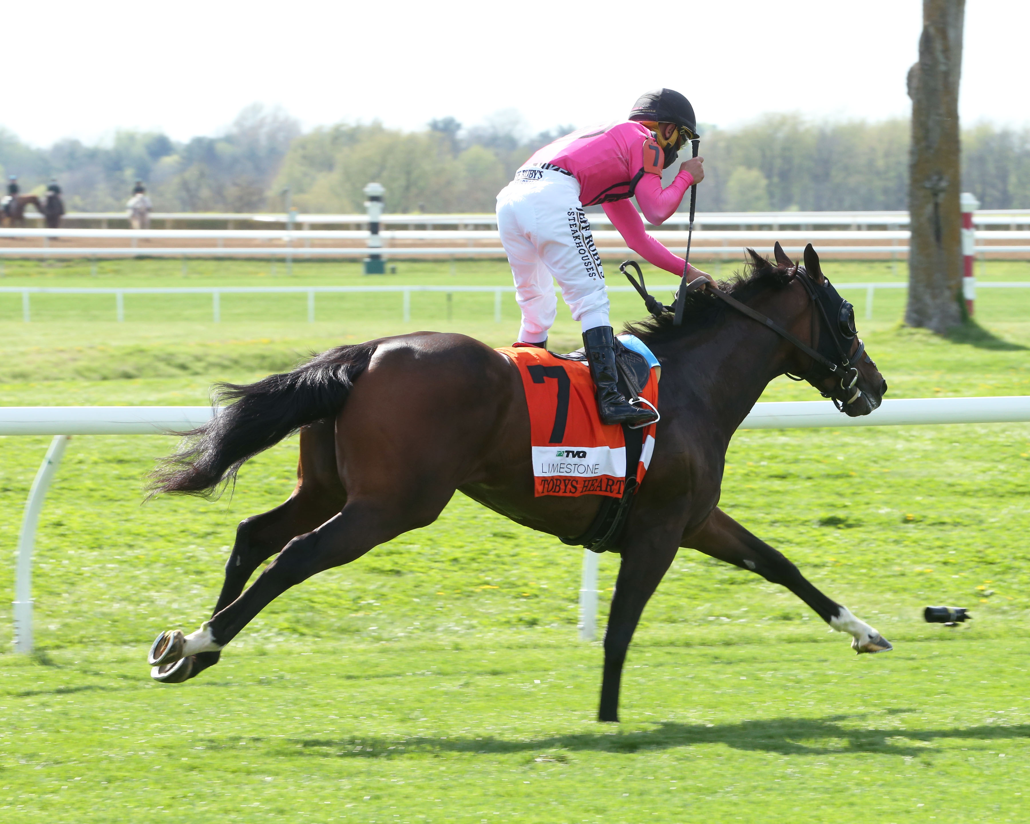 Tobys Heart - Limestone Turf Sprint 2021