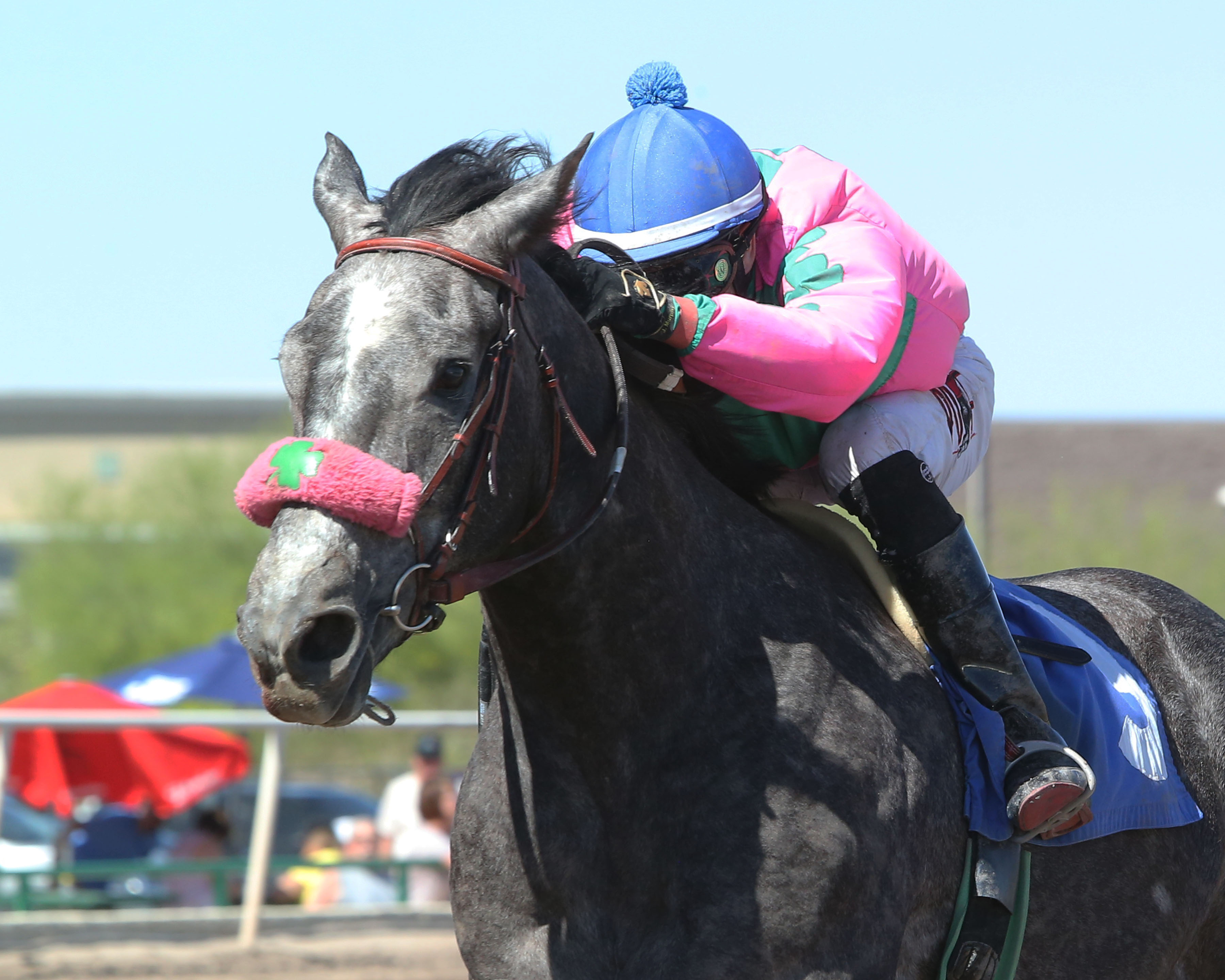 Todo Es Toro wins the 2019 Gene Fleming Breeders Derby