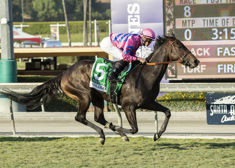 Toinette wins the 2019 Goldikova Stakes