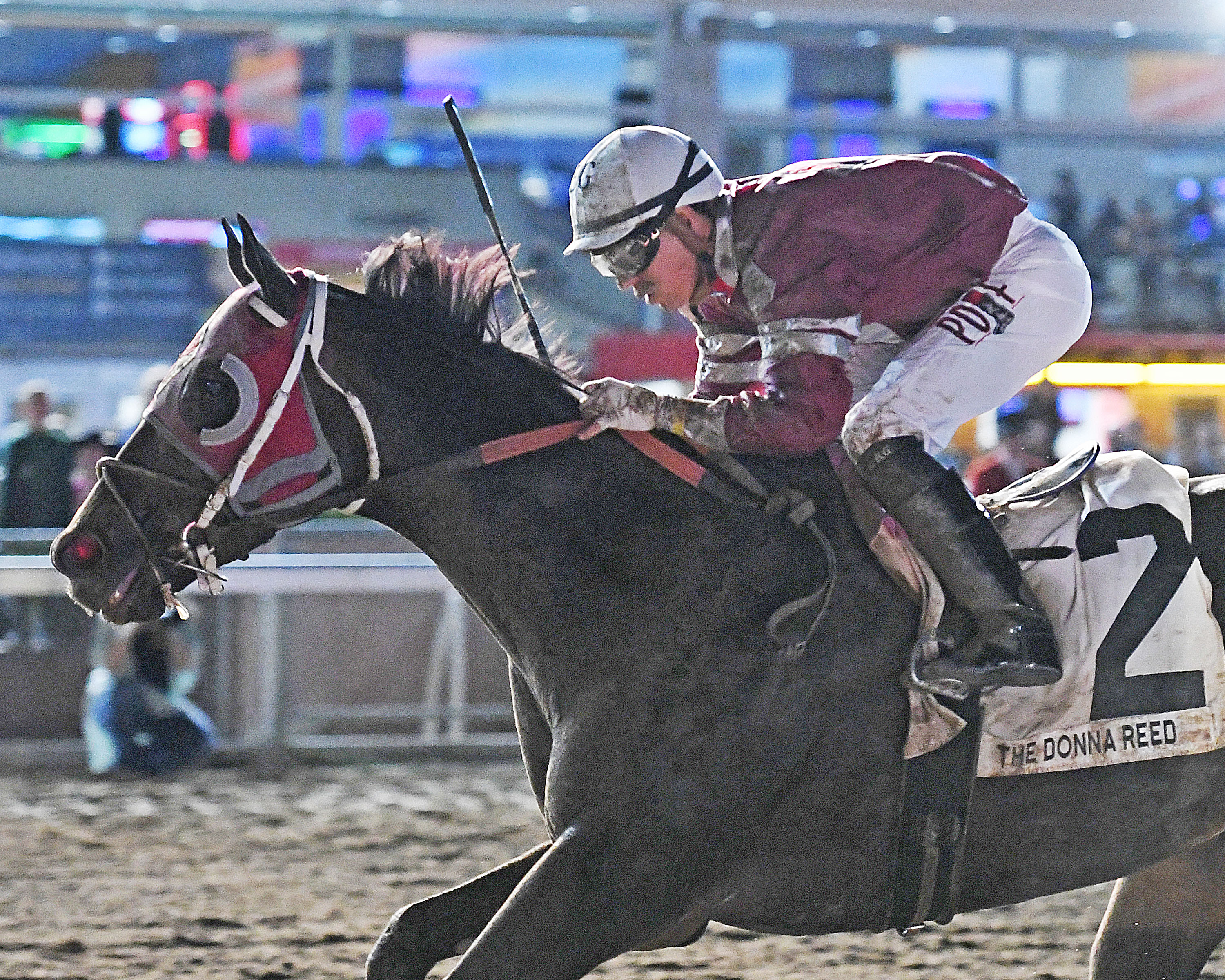 Topless wins the Donna Reed 9-25-2021