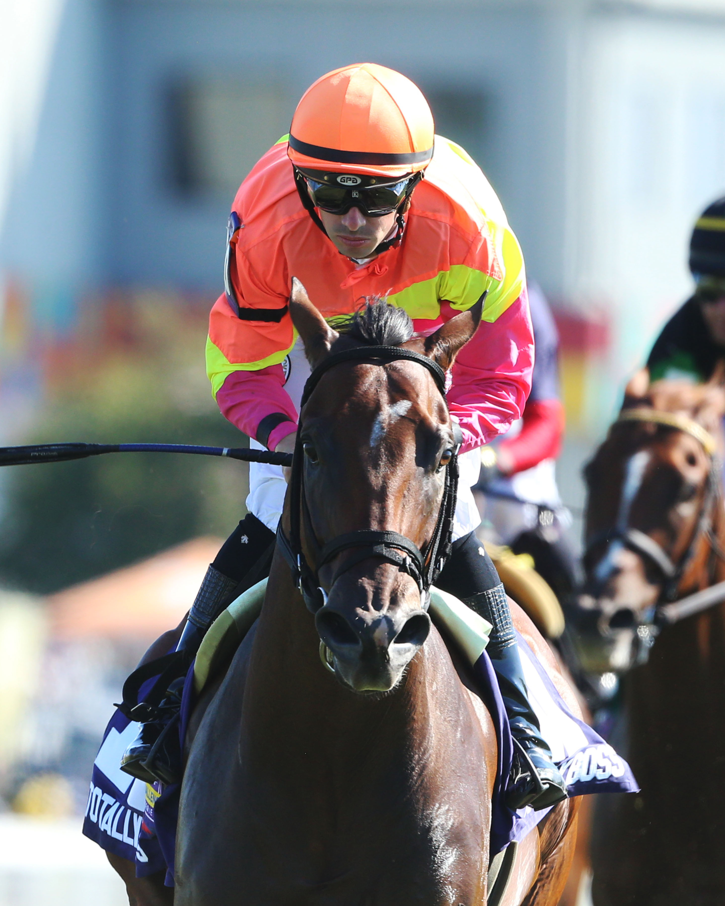 Totally Boss wins the 2019 Runhappy Turf Sprint