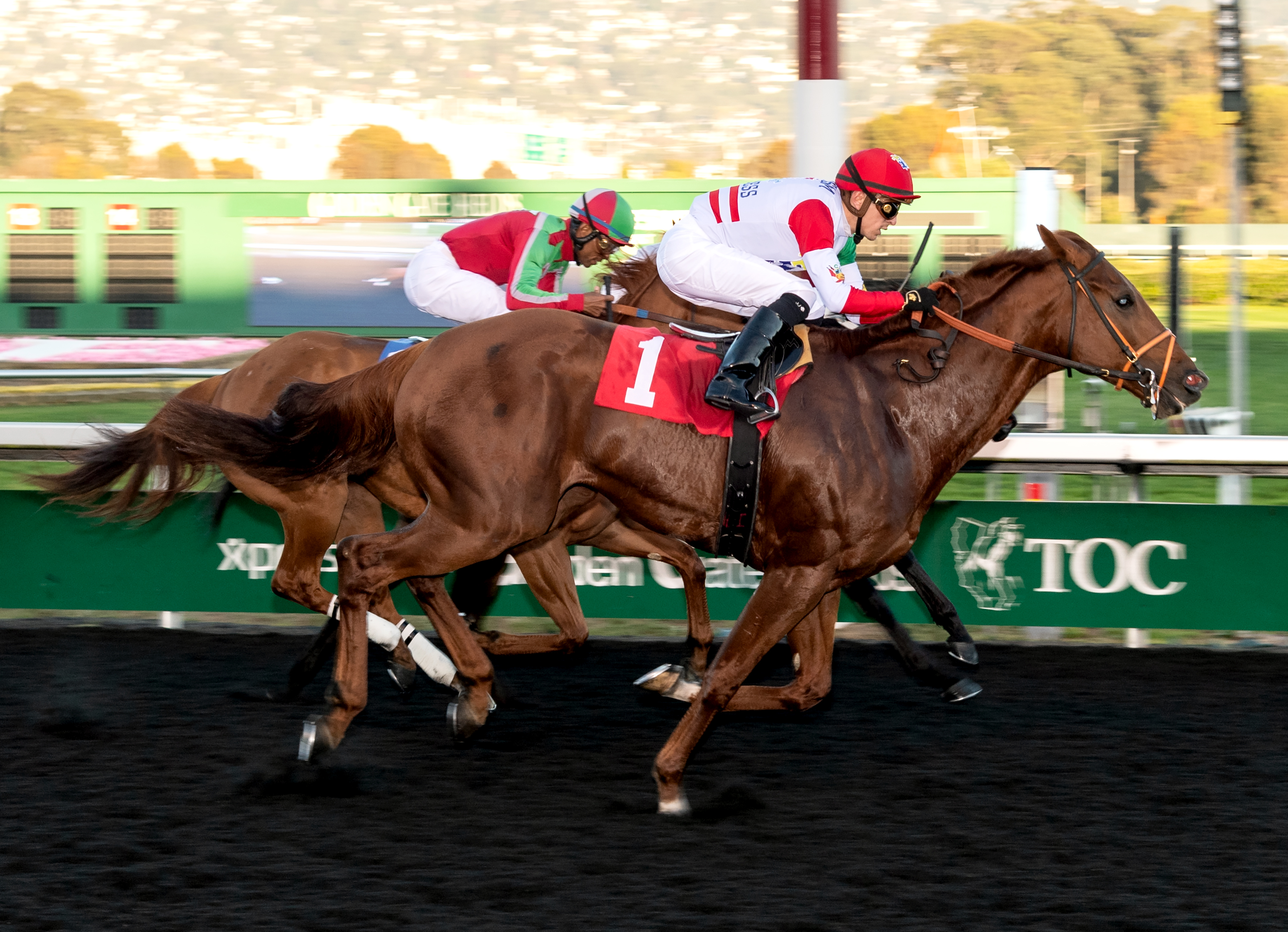 Touched by Autism wins the 2018 Oakland Stakes