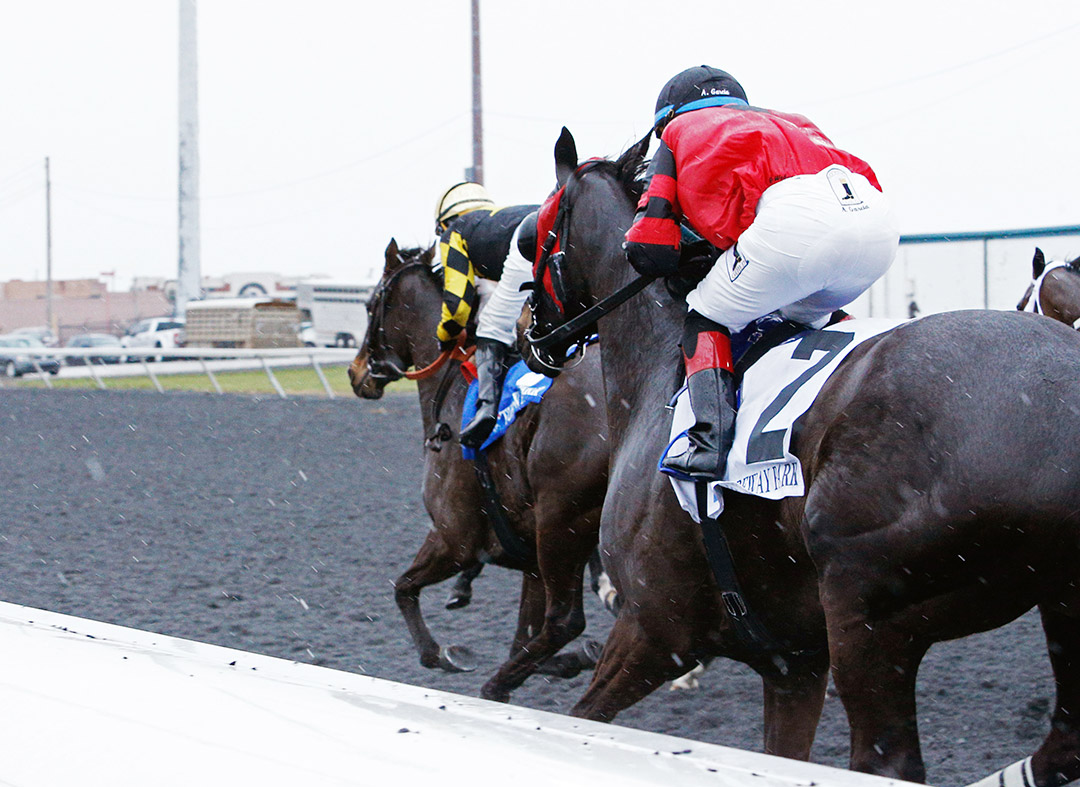 Turfway Park racing, March 2020