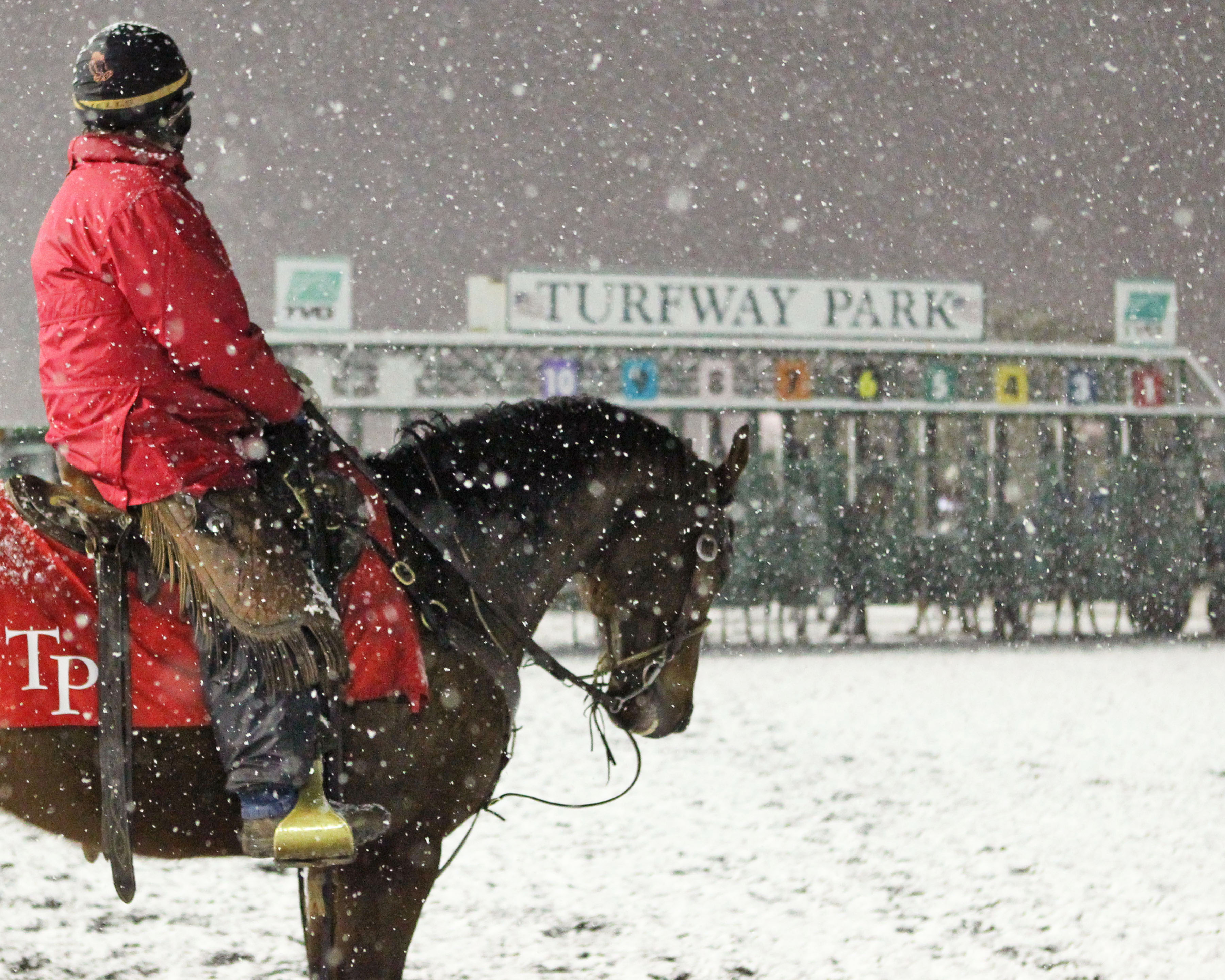 Turfway Park snow