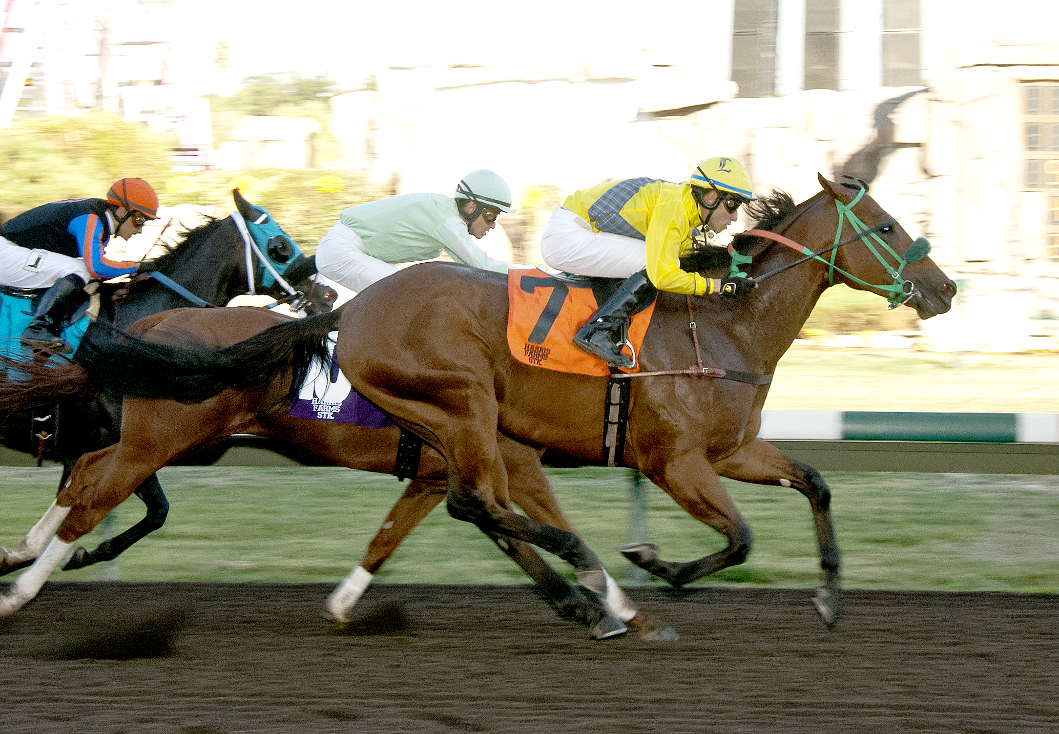 Tribal Storm wins the 2017 Harris Farms Stakes at Fresno