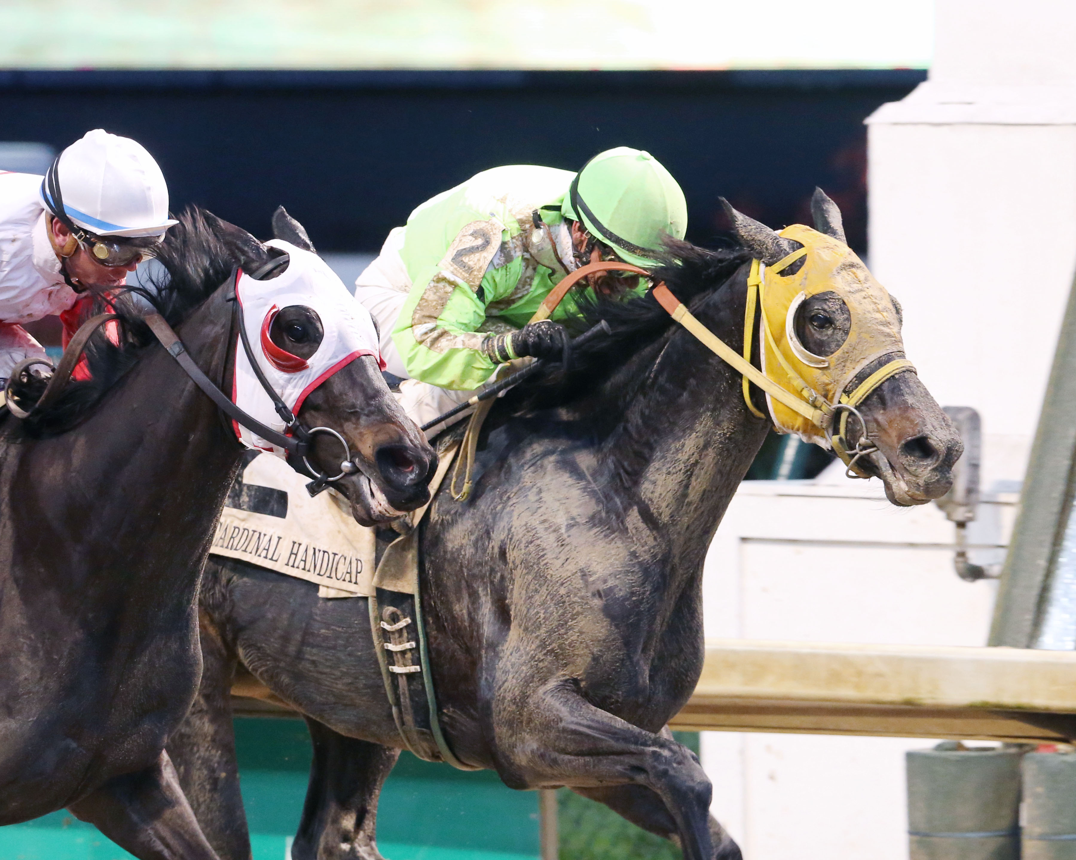 Tricky Escape wins the 2017 Cardinal Handicap