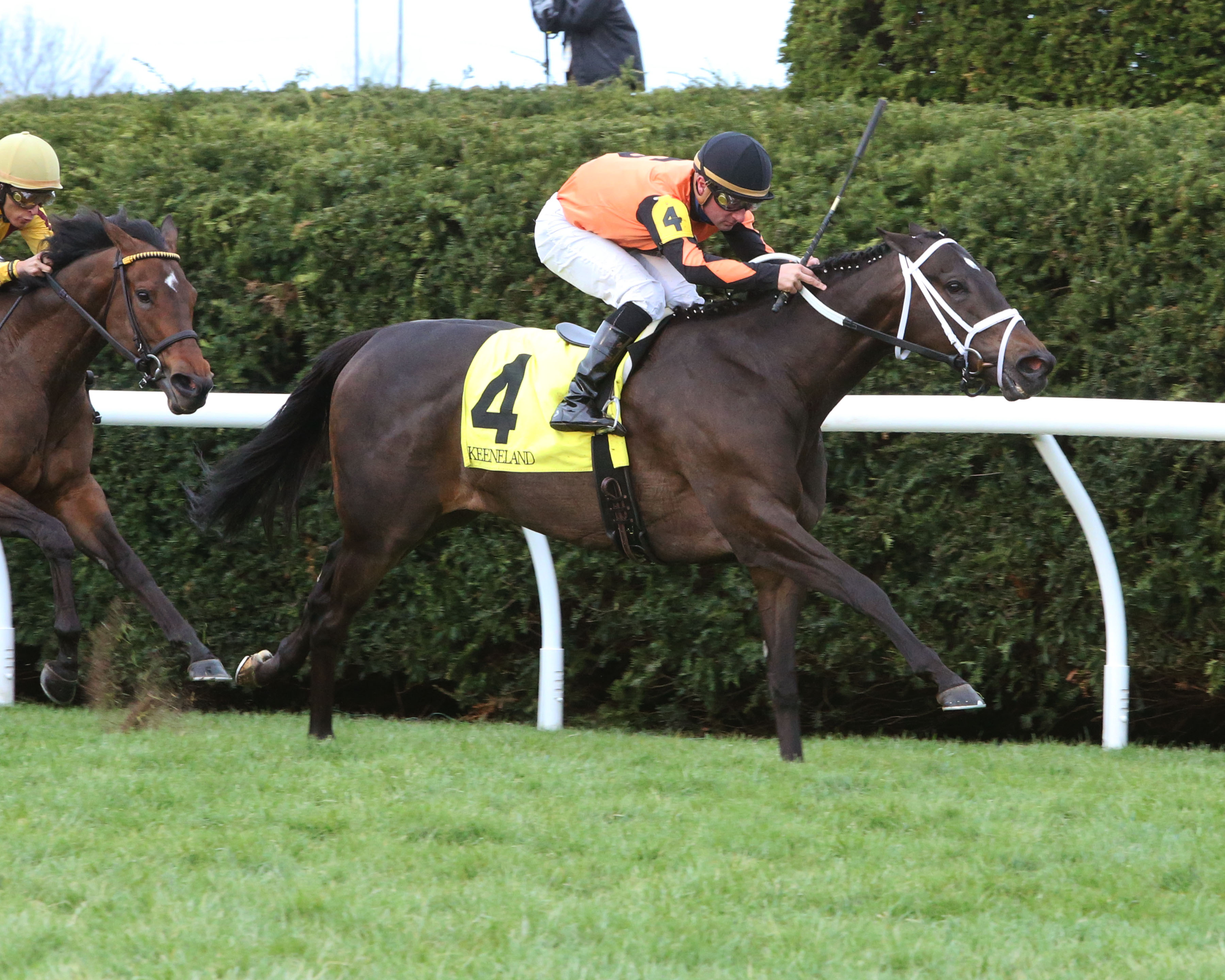 Triple Chelsea wins 2018 Giant's Causeway