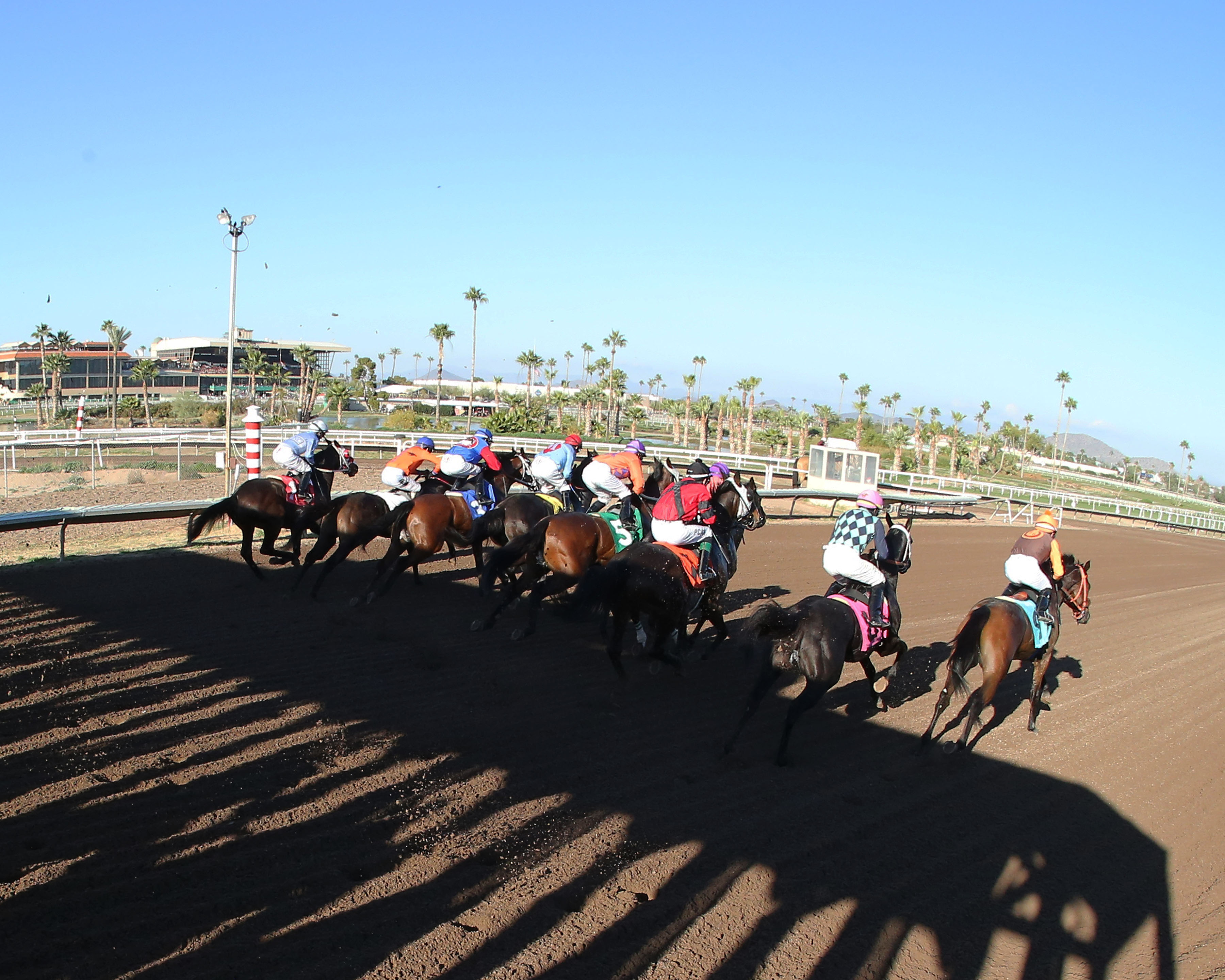 Turf Paradise