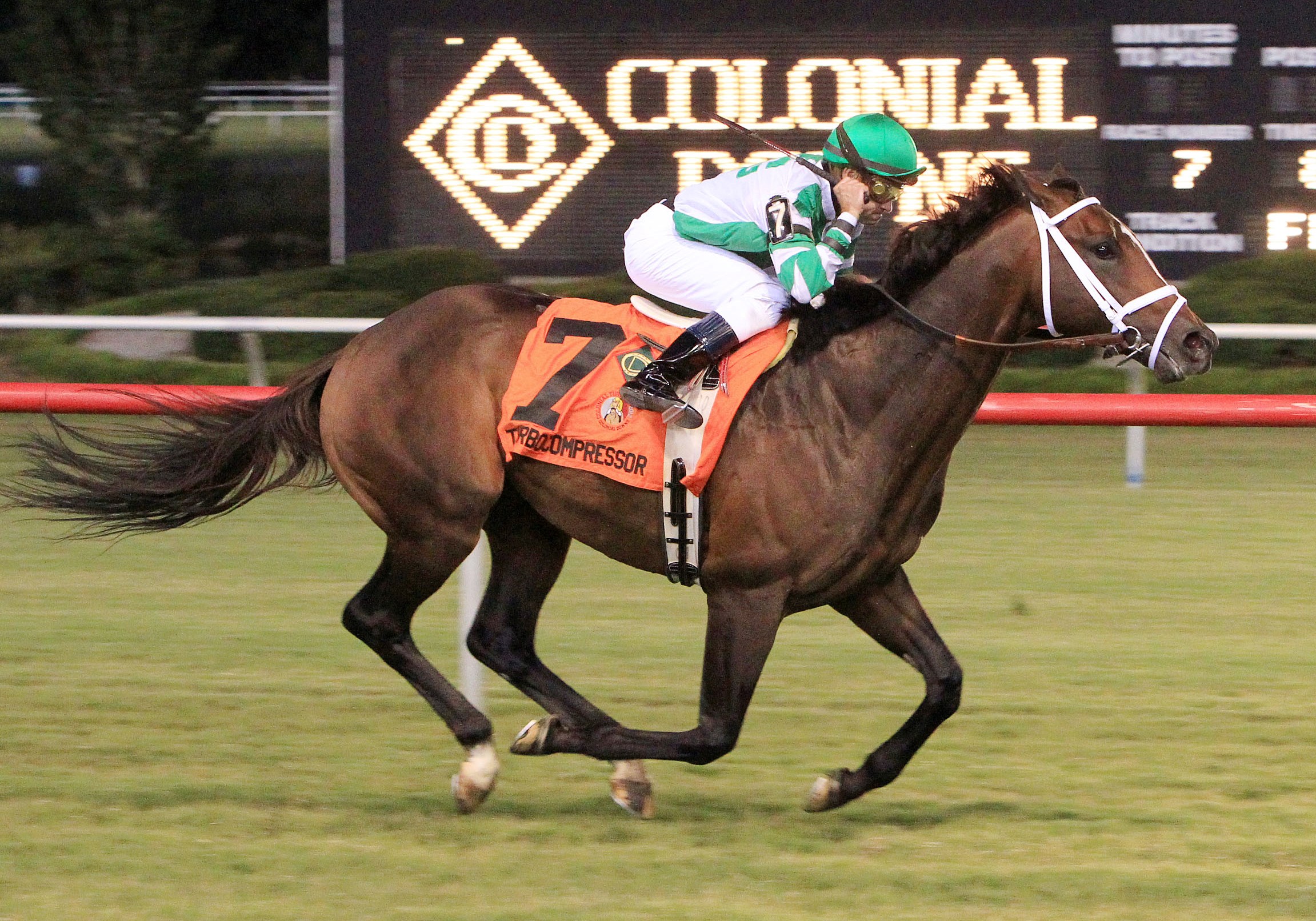 Turbo Compressor, Colonial Turf Cup