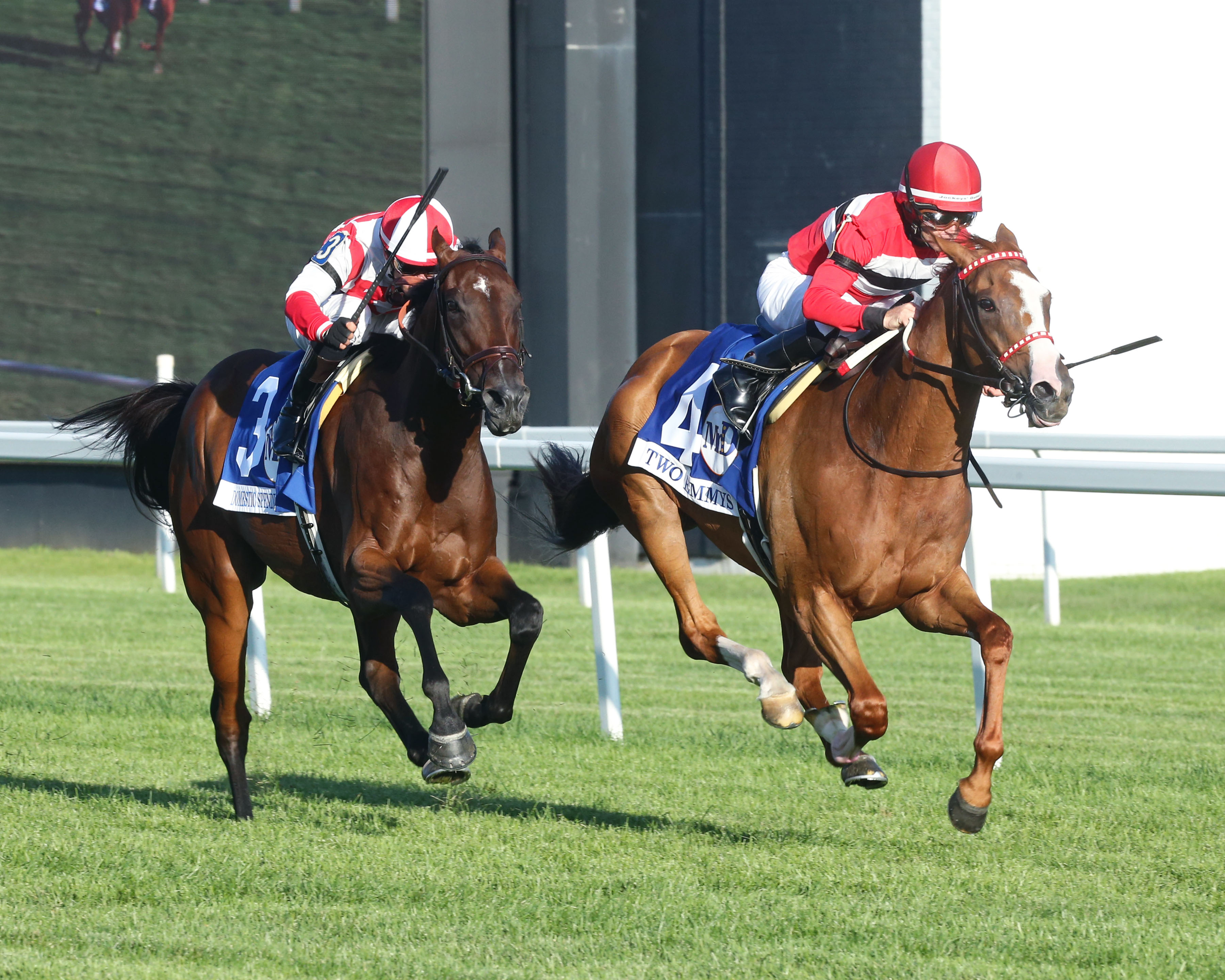 Two Emmys wins Mr. D Stakes 8-14-2021