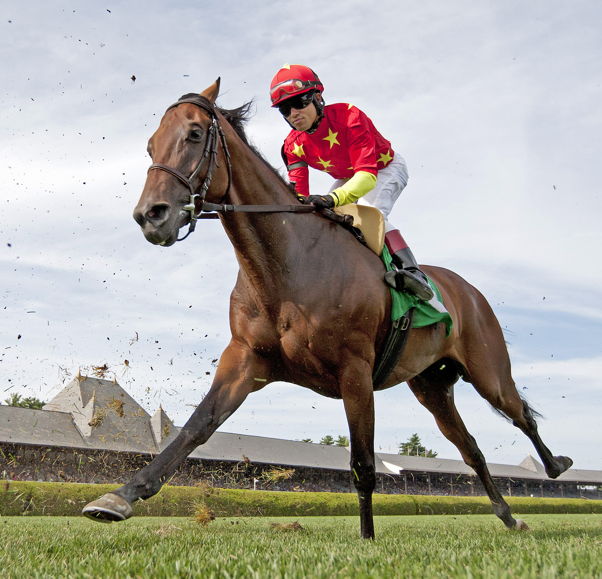 Tabreed finishes third in an allowance race