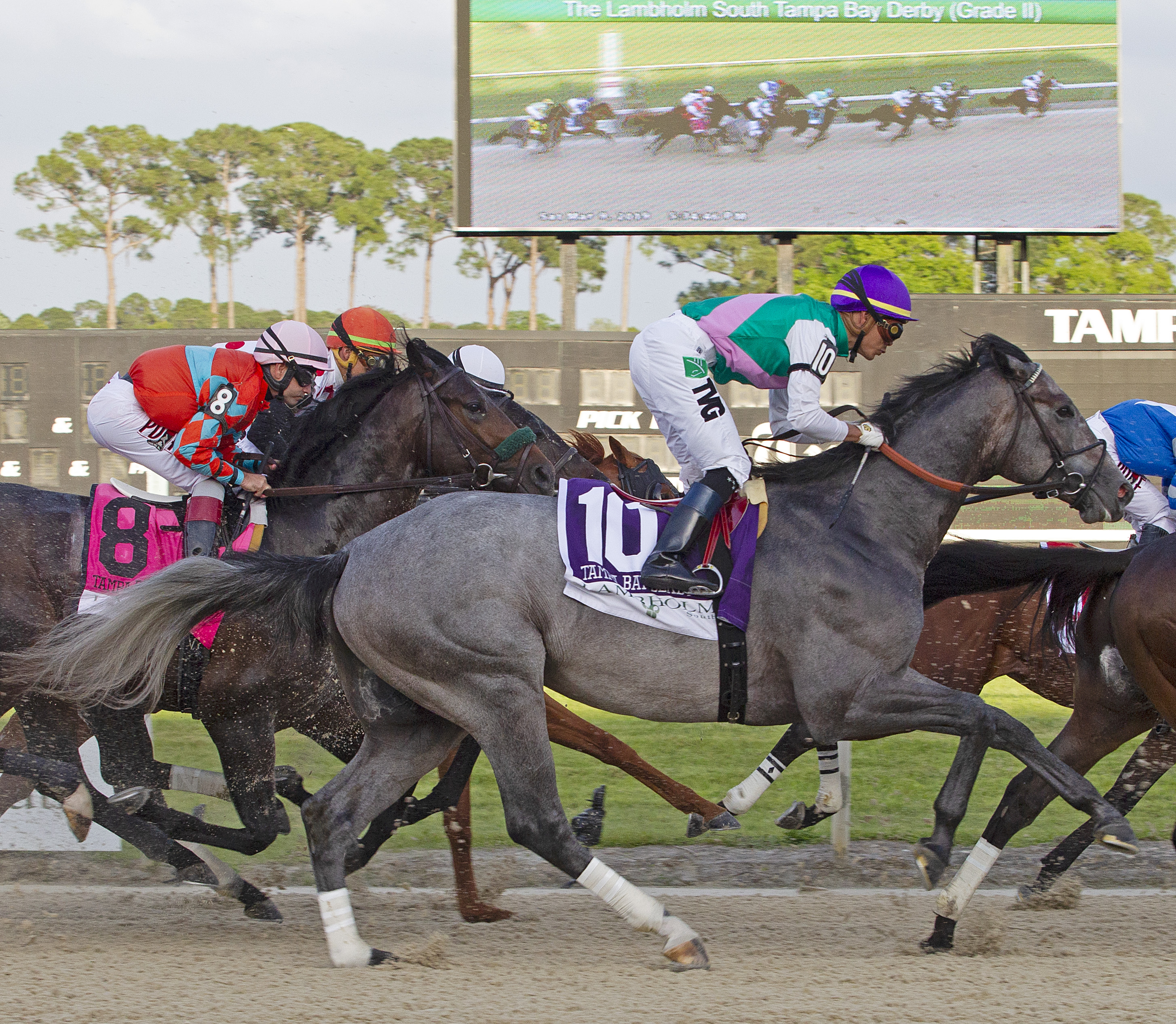 Tacitus (first time by) TAM Derby 030919