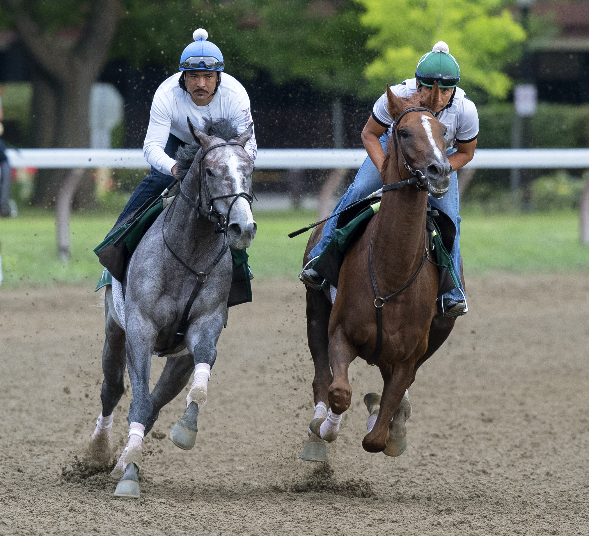 Tacitus (left) and Channel Maker work at Saratoga on 7.22.19