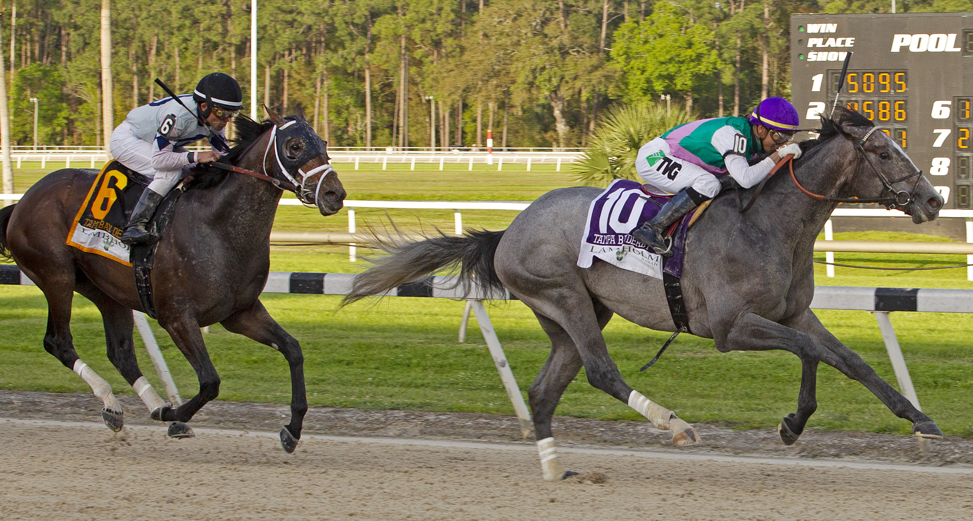 Tacitus wins 2019 Tampa Bay Derby