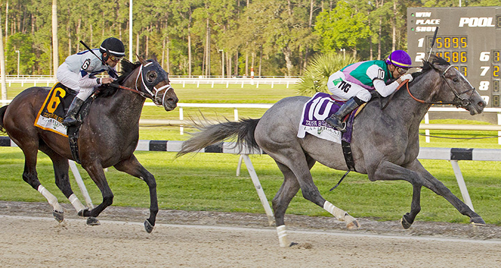 Tacitus wins the 2019 Tampa Bay Derby