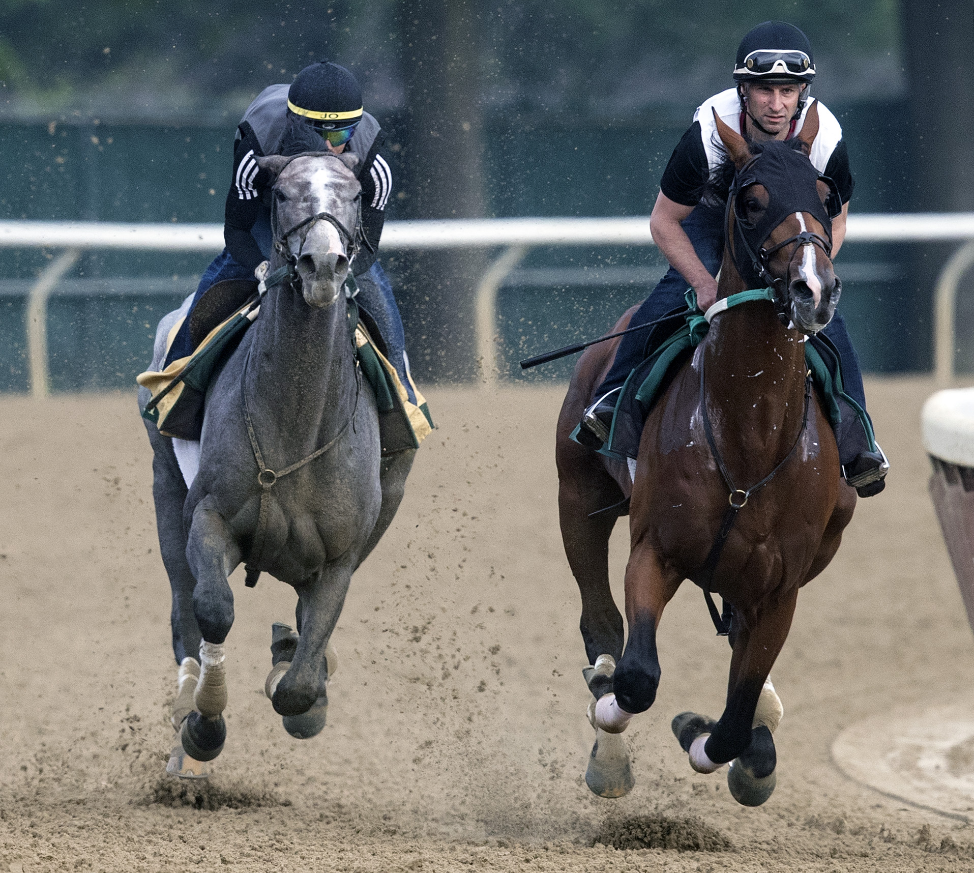 Tacitus works with Tide of the Sea on 6.2.19 at Belmont Park