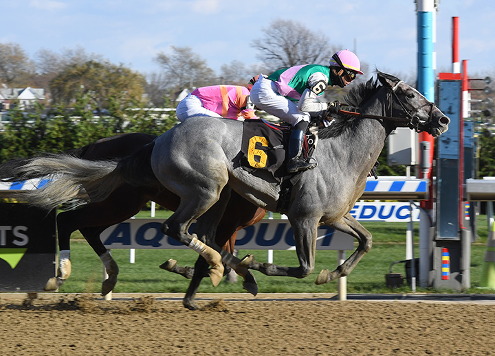 Tacitus wins a Nov. 17 maiden race
