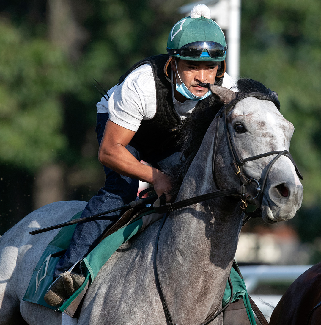 Tacitus trains at Saratoga on Aug. 16