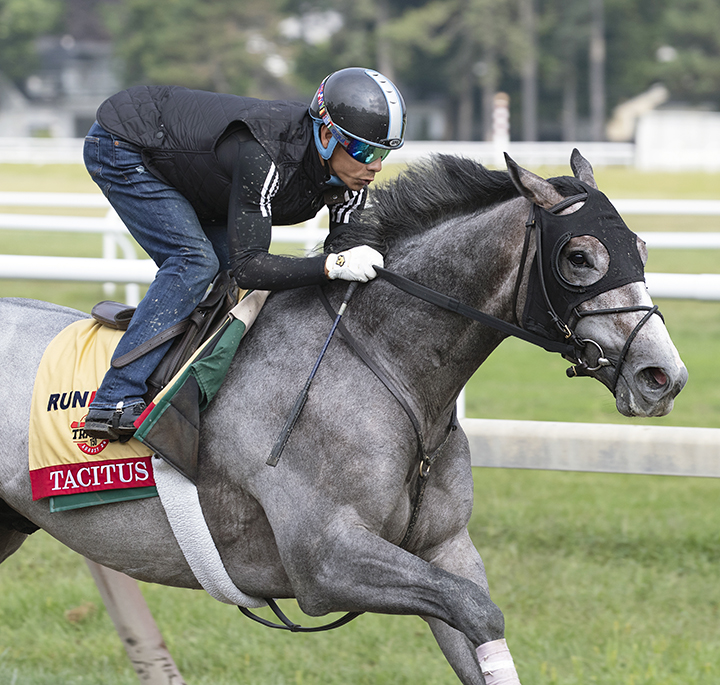 Tacitus trains at Saratoga Race Course on Aug. 17
