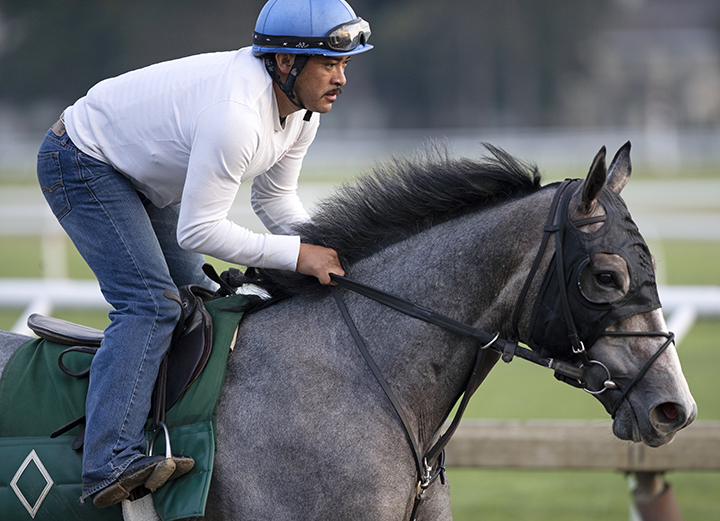 Tacitus trains with blinkers on Aug. 4 at Saratoga Race Course