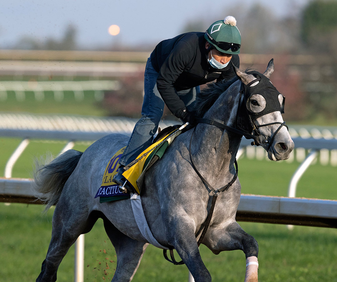 Tacitus trains at Keeneland on Nov. 1