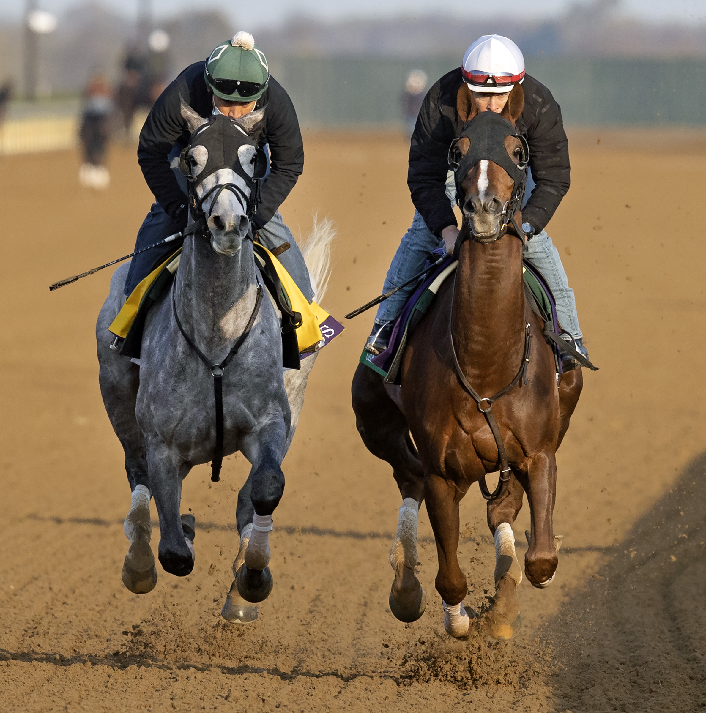 Tacitus, Channel Maker in BC morning work 11-01-2020