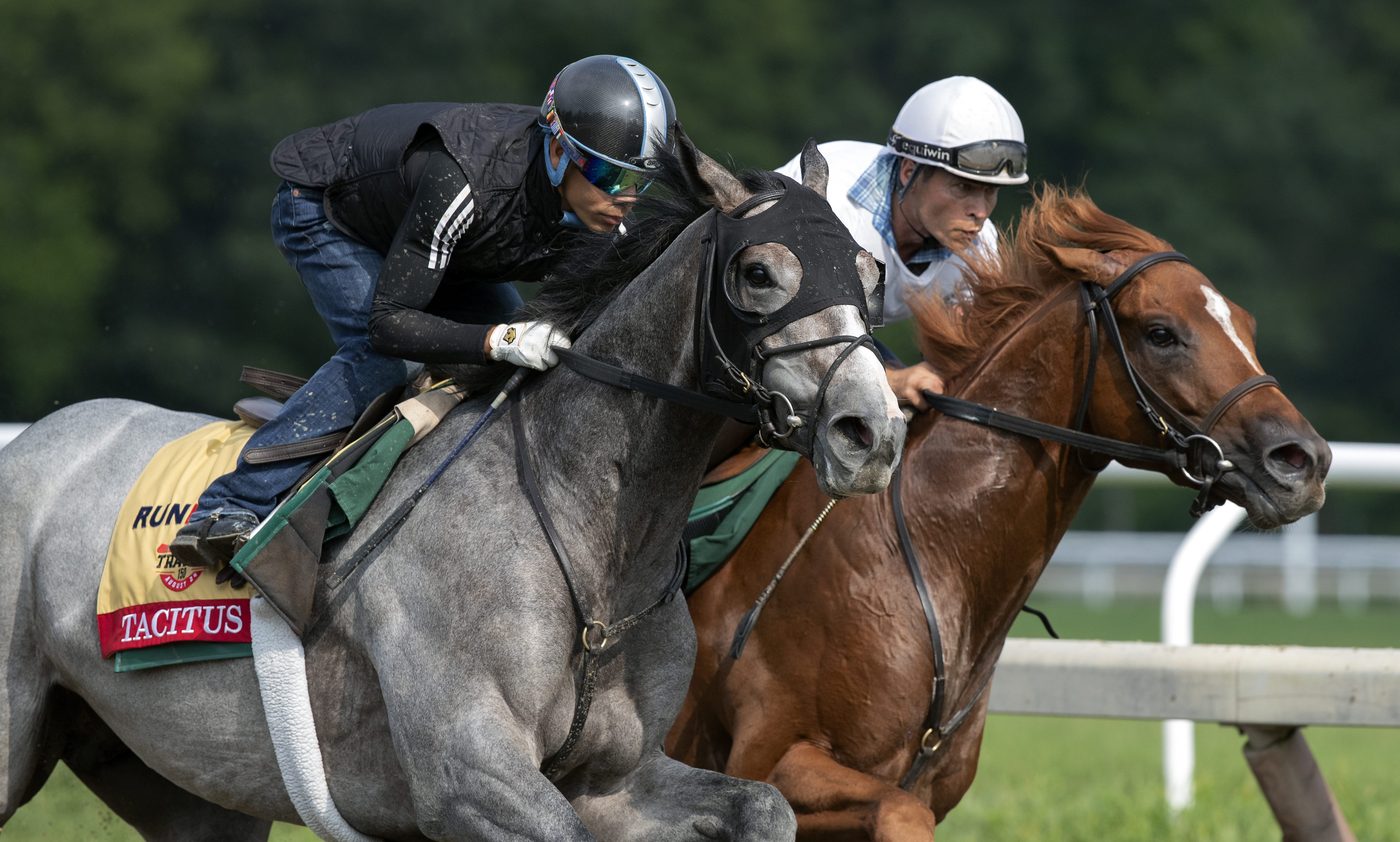 Tactitus.outside with Jose Ortiz up. works with Seismic Wave at Saratoga on 8-17-2019.BL