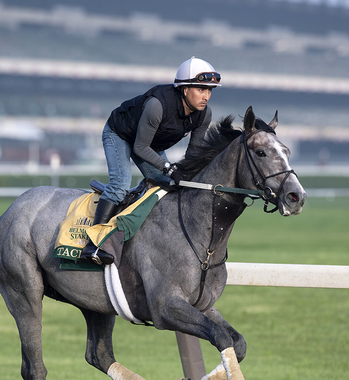Belmont Stakes clocker: Tacitus, Sir Winston looking good