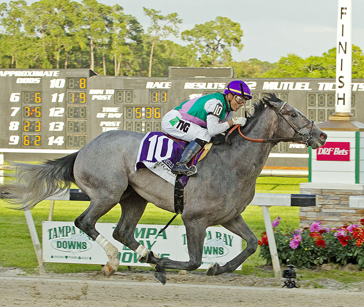 Tacitus wins the 2019 Tampa Bay Derby