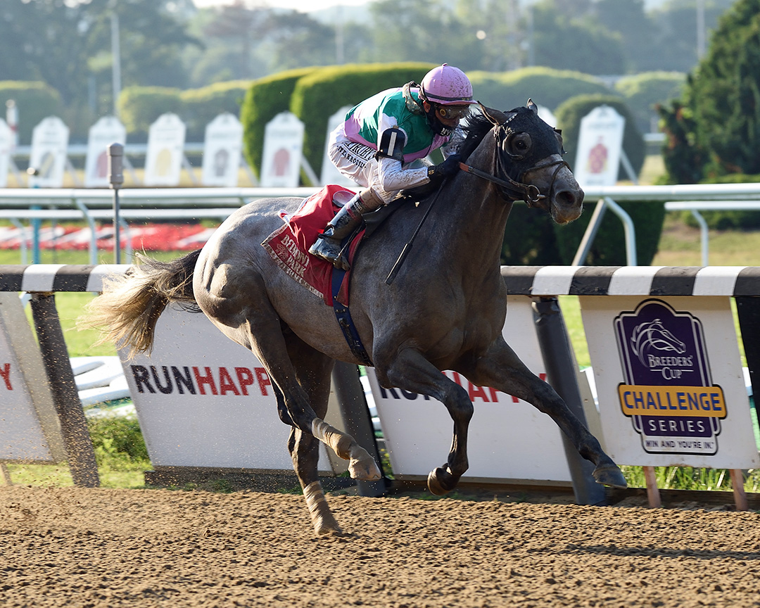 Tacitus wins the 2020 Suburban Stakes at Belmont Park