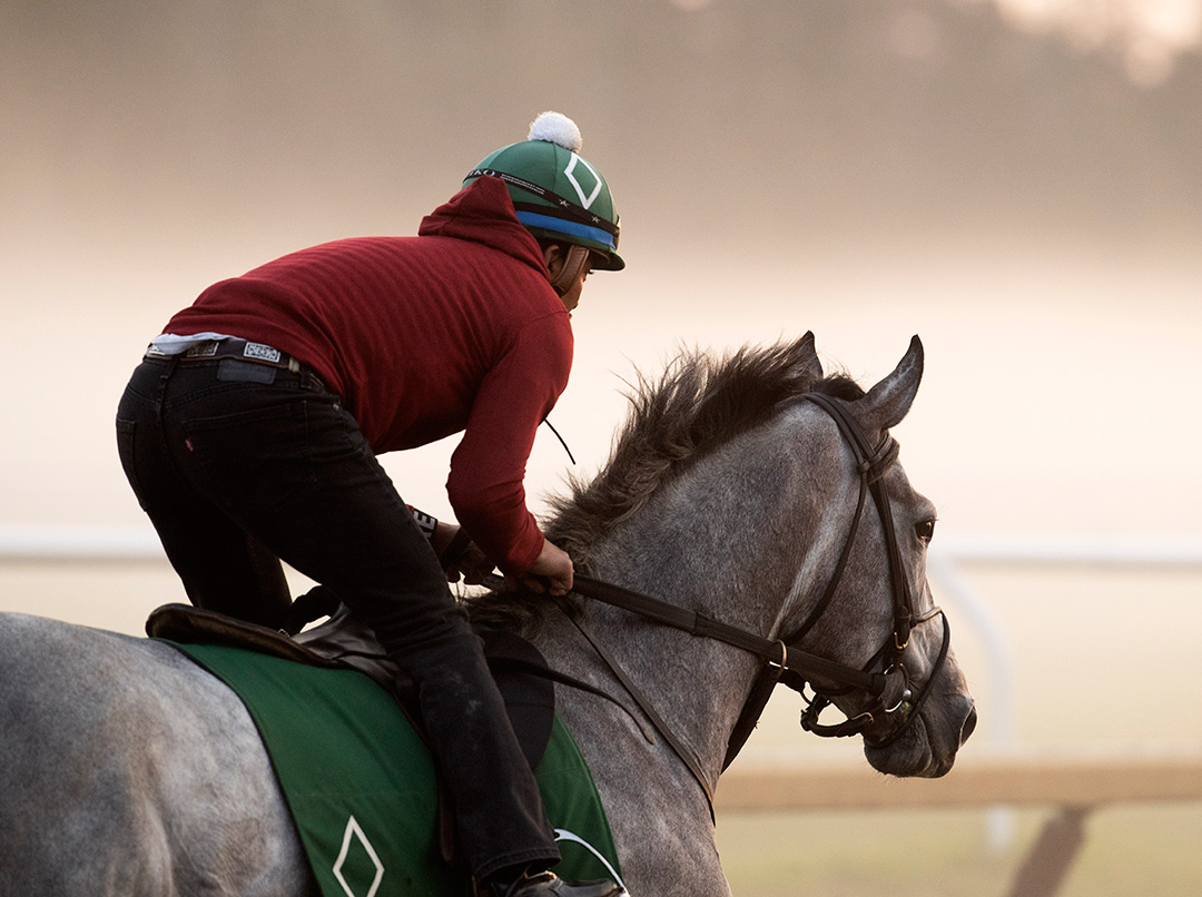 Tacitus trains at Saratoga Race Course on Sept. 24